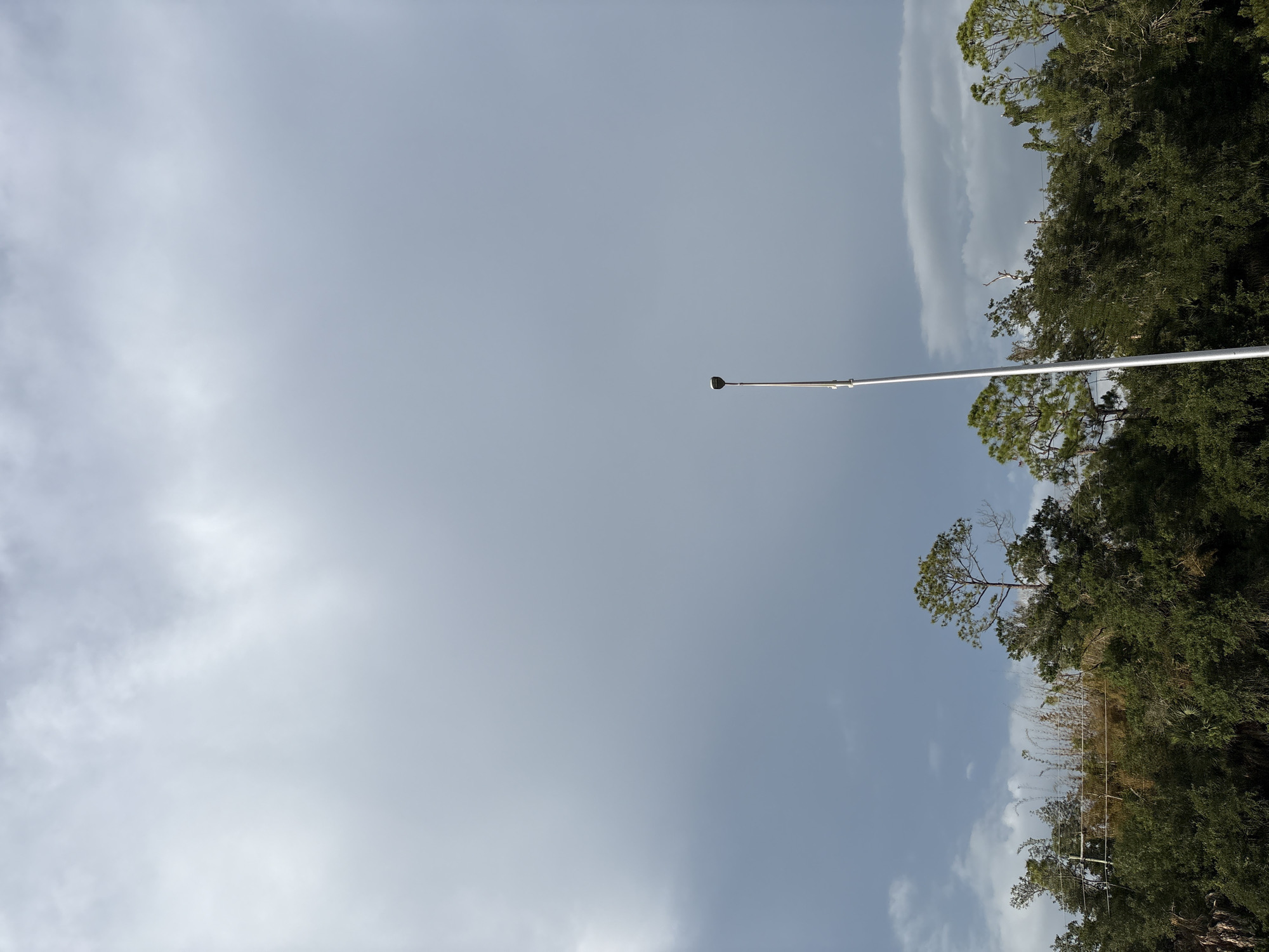 An outdoor, full shot captures a silver flagpole centrally located against a vast, overcast sky. The flagpole is tall and slender, with a light fixture at its apex. Below the sky, a dense line of green trees forms the horizon, interspersed with taller pine trees. The scene appears to be set in the city of Venice, United States, given the presence of typical Florida vegetation. The atmosphere is somber, suggested by the muted colors and the heavy cloud cover. There are no people or animals visible in the image.