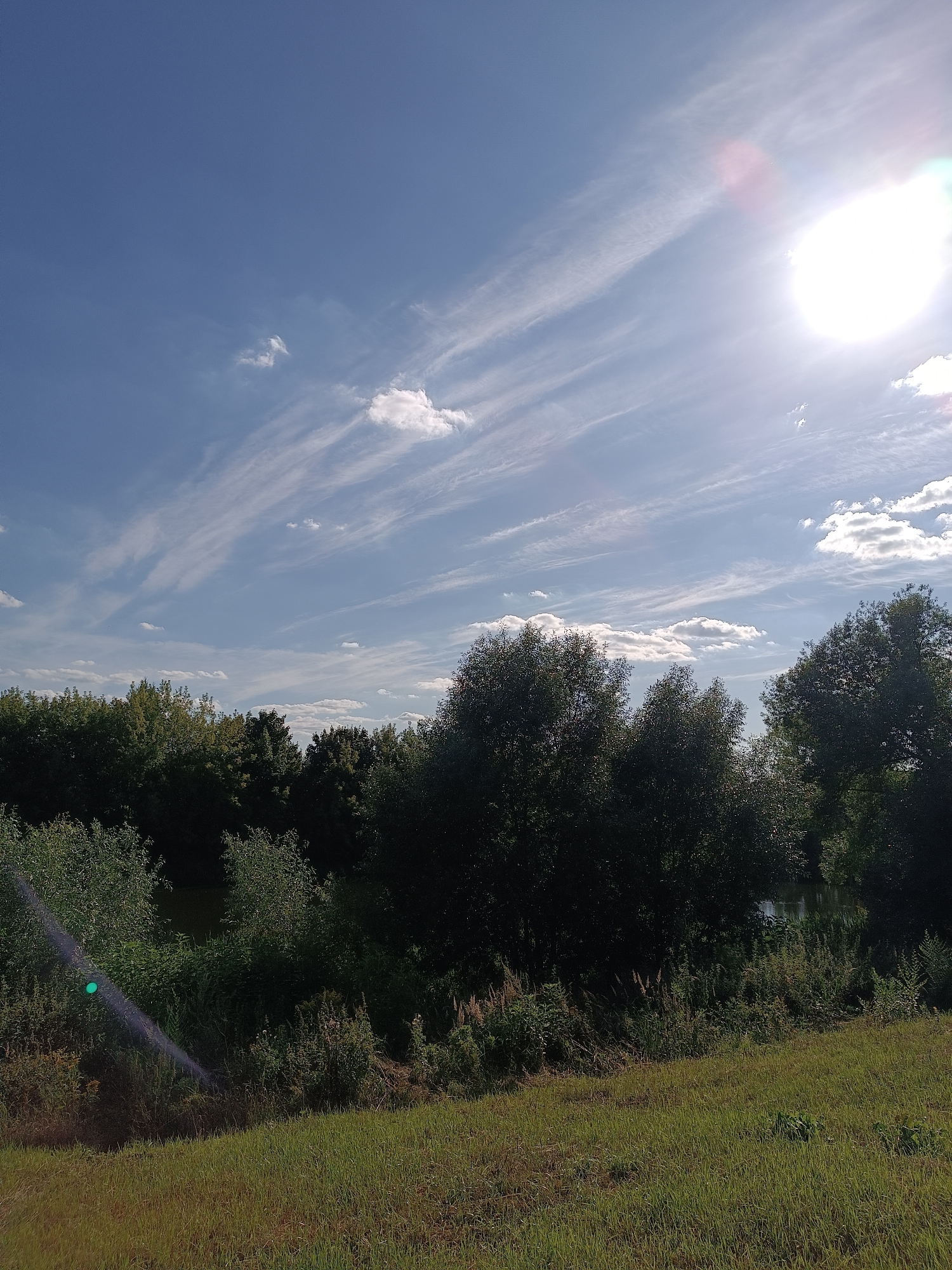 The image depicts a sunny day with a bright sun and wispy clouds in a clear blue sky. The foreground is dominated by green grass, with some dry vegetation and a tree line in the midground. Behind the trees, a body of water is visible, reflecting the sky. The overall scene is a natural landscape, likely a park or a nature area, devoid of any human presence or specific urban features that would pinpoint it to the city of Zhukovsky, Russia. The lighting suggests it is daytime, possibly late morning or early afternoon, given the intensity of the sun.