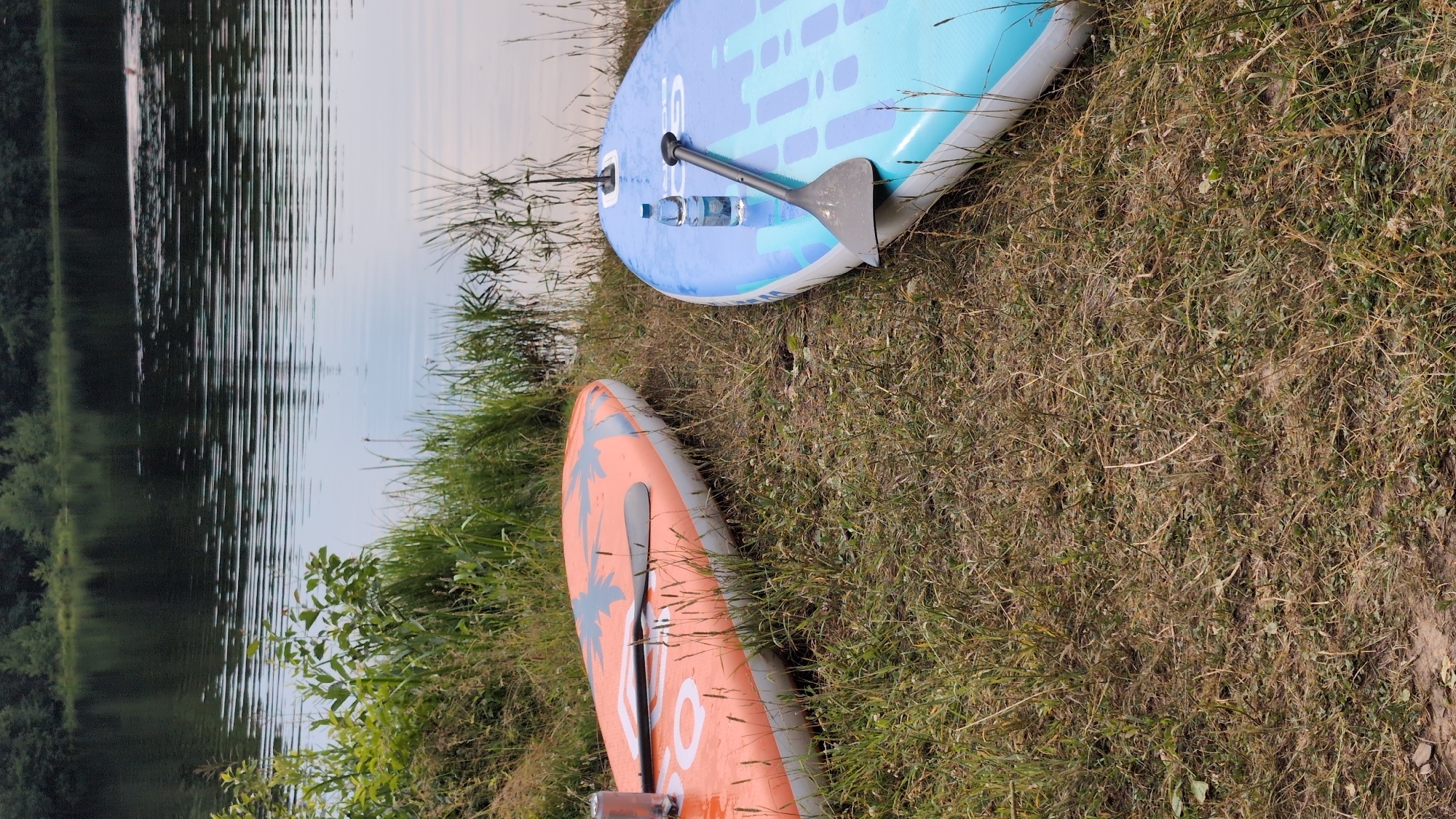 Two paddleboards are resting on the grassy shore of a calm lake in Yarishnoe (Zinyakovskii S/S), Russia. The board on the left is orange with a palm tree silhouette design and a paddle placed on top. The board on the right is light blue with a geometric pattern and a paddle resting on it, along with a clear plastic bottle of water. The lake water is calm with gentle ripples, reflecting the dark green trees lining the opposite shore. Tall grasses and reeds grow along the water's edge. The scene is tranquil and appears to be set during daylight hours.
