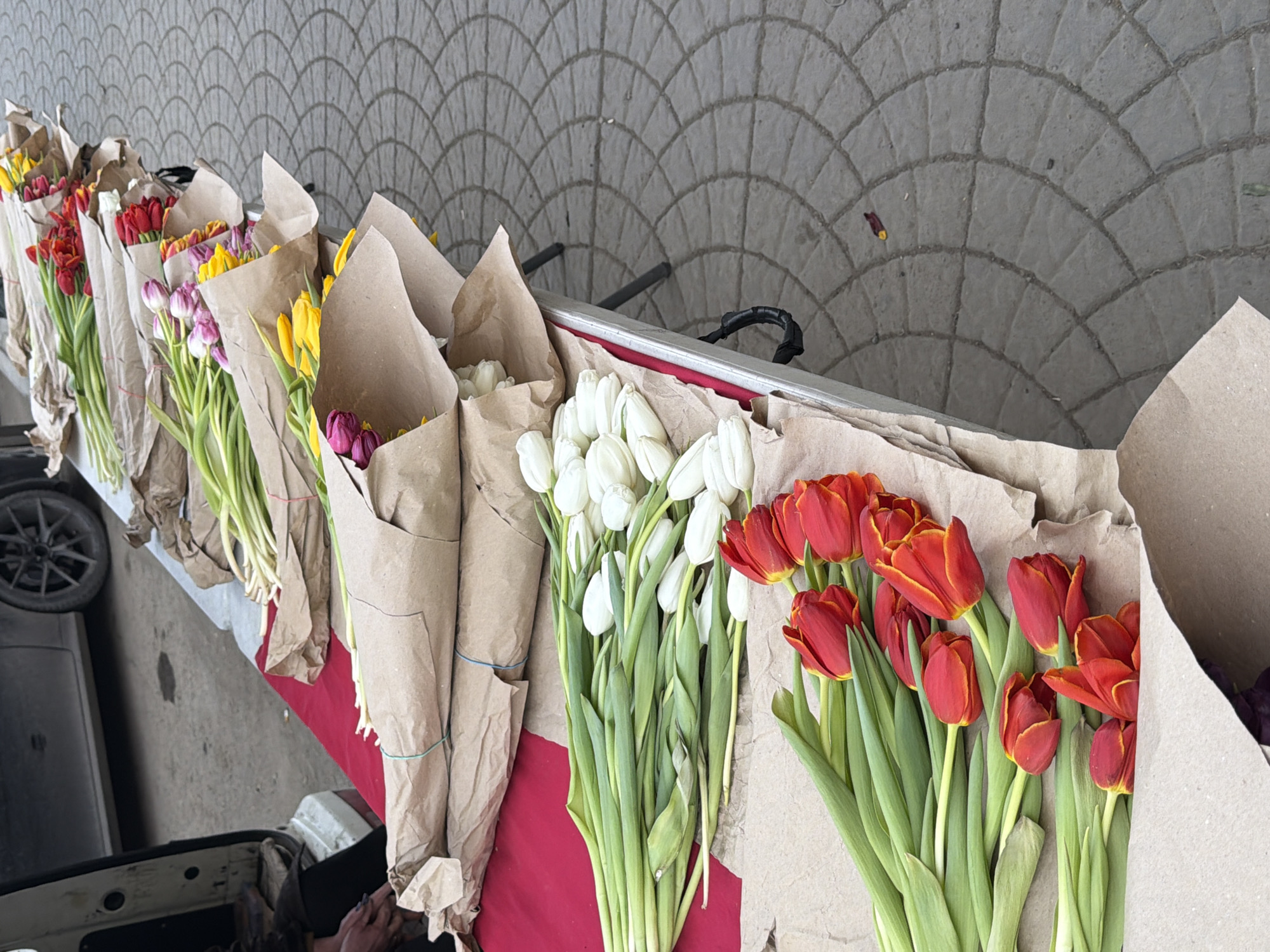 A high-angle shot depicts an array of tulips, mostly in brown paper wraps, laid out on a red surface that appears to be the back of a vehicle, potentially for sale in a flower stall. The tulips vary in color, including red, yellow, purple, and white. The flowers are arranged linearly across the frame. The pavement is visible in the upper part of the image. Part of a car tire is seen on the left. Hands are visible in the bottom left corner. Based on image context clues, the scene could be located in an outdoor market area. The location could be Krasnoyarsk, Russia, if this is consistent with additional data not contained within the image.
