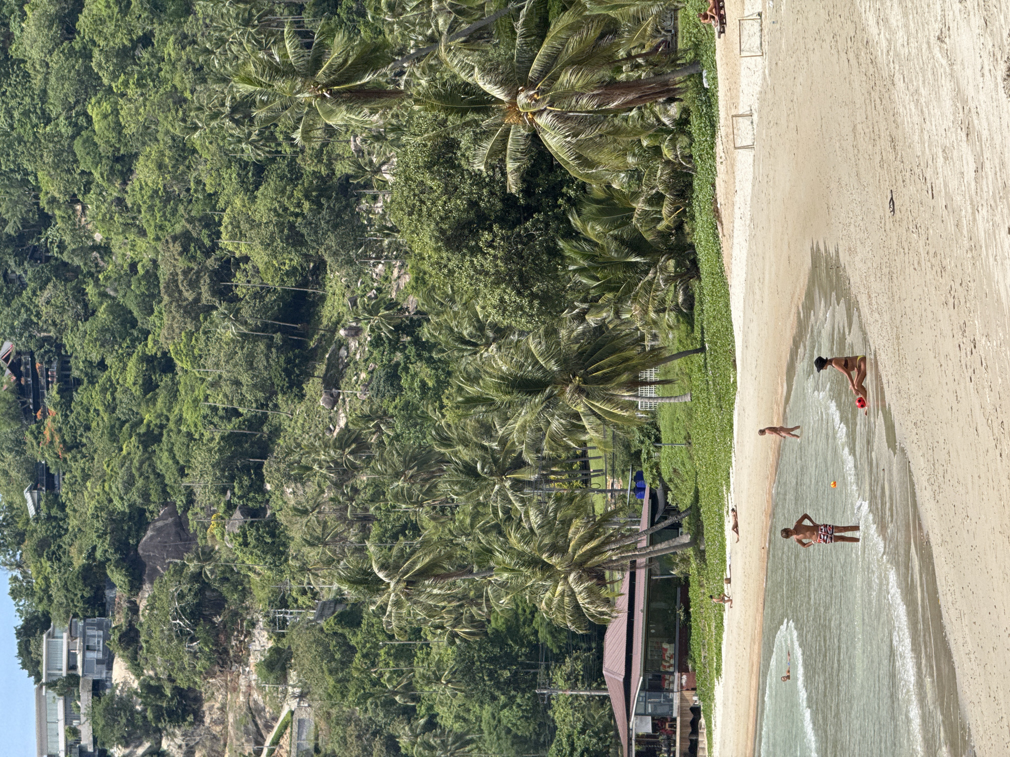 This is a daytime, eye-level shot of a tropical beach on Ko Samui District, Thailand. The foreground features a sandy beach and shallow, clear water. In the water, a young boy stands, facing left, wearing patterned swim trunks. To his right, a small orange ball is visible. Further out, a person is swimming. On the beach to the right, a woman in a yellow bikini sits facing left, with a red ball near her. To the left of the boy, a child in a pink swimsuit walks away from the water. In the midground, several people are sunbathing on loungers and the sand, some partially obscured by palm trees. A thatched-roof building with large windows, likely a restaurant or bar, is situated on the left side of the beach, backed by lush greenery and several palm trees. The background consists of a steep, densely forested hillside with scattered modern buildings and houses nestled amongst the trees. Power lines are visible running up the hillside. The sky is clear and blue.