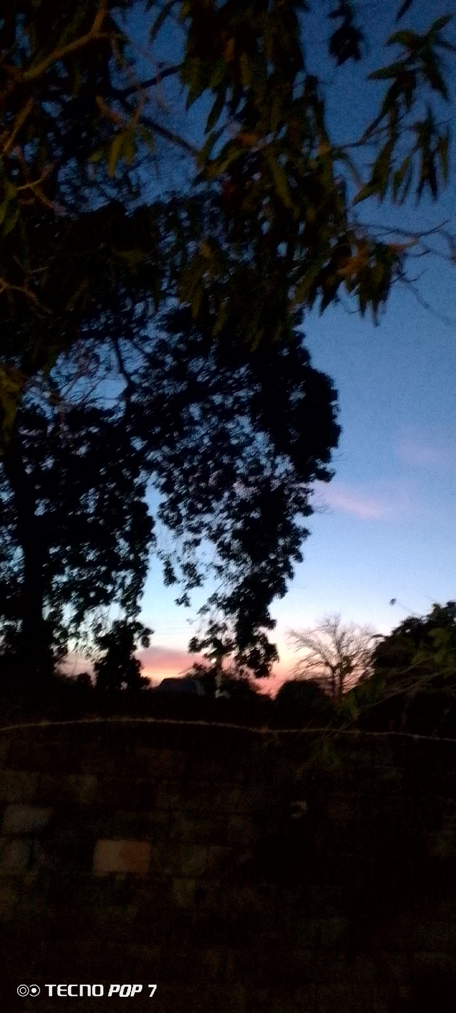 The image depicts a twilight scene in Altagracia, Venezuela. In the foreground is a dark, uneven wall constructed of stones, possibly part of a building or fence. Beyond the wall are silhouetted trees against a gradient sky ranging from blue at the top to orange and pink near the horizon. The sky suggests either sunrise or sunset. The foreground is underlit, and details are not discernible due to low light conditions. A tree is visible in the upper left quadrant of the image. The image was taken with a Tecno Pop 7 phone.