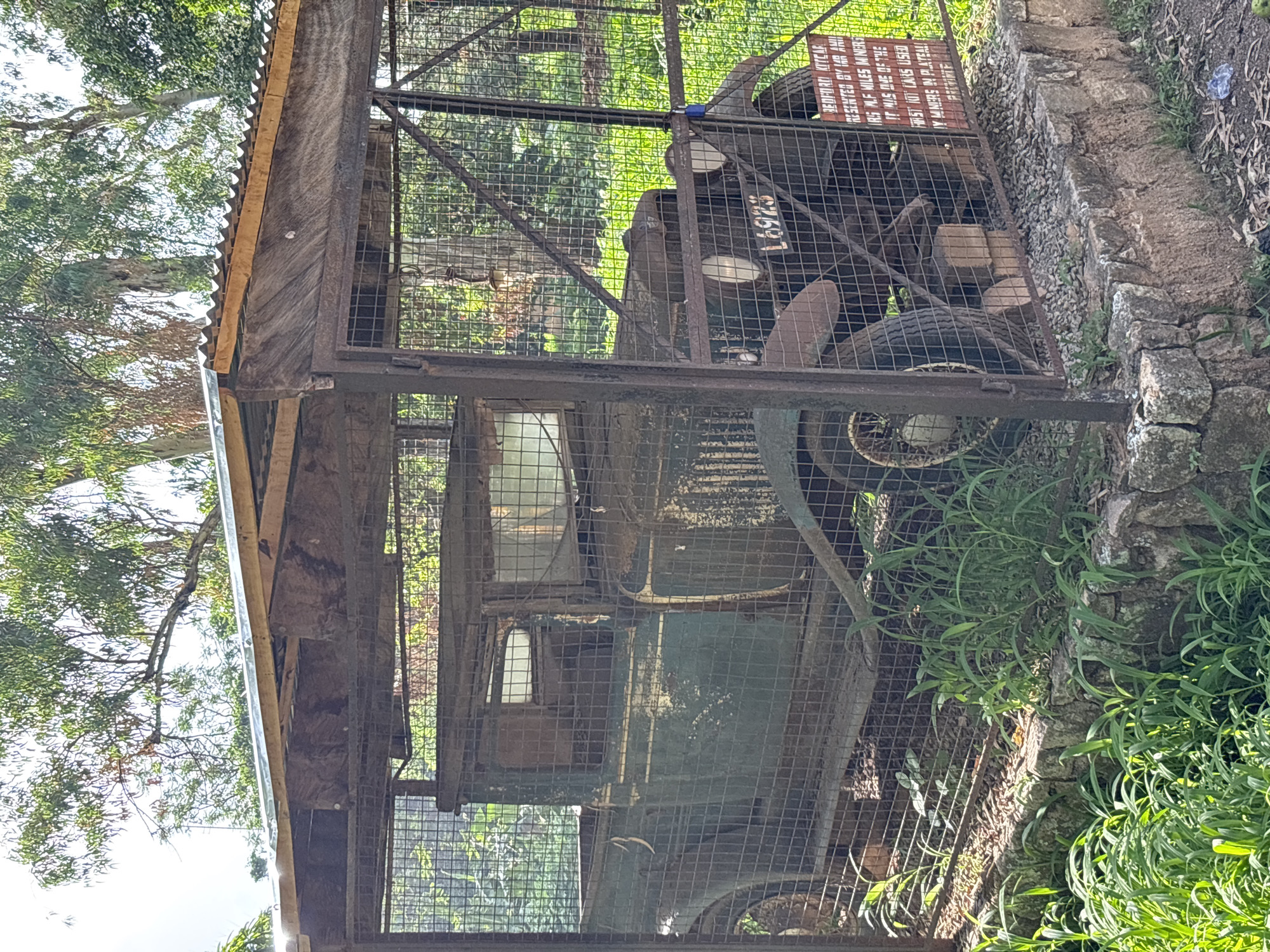 The image shows a vintage, dark green, four-door automobile, possibly from the 1920s or 1930s, housed within a metal cage structure. The car appears rusted and weathered, with visible signs of decay. It has a spare tire mounted on the front fender. The cage is constructed from wire mesh and has a corrugated metal roof supported by wooden beams. The car is on display, with a sign mounted on the cage's right side. The sign, written in English, states "BEDFORD KITE CAR PRESENTED BY MR. AMI R.S. MLF MILES MINERS. IT WAS ONE OF THE FIRST KOT CARS USED BY MINERS IN PLATEAU STATE". The scene is outdoors, with lush green vegetation surrounding the cage and the car. Trees are visible in the background, suggesting a natural or park-like setting. The ground around the car is covered in gravel and some dry leaves. The image is taken during daylight, with sunlight casting shadows and highlighting the textures of the car, cage, and foliage. The overall impression is of a preserved historical artifact in an outdoor exhibition. The location is identified as the city of Jos, Nigeria.