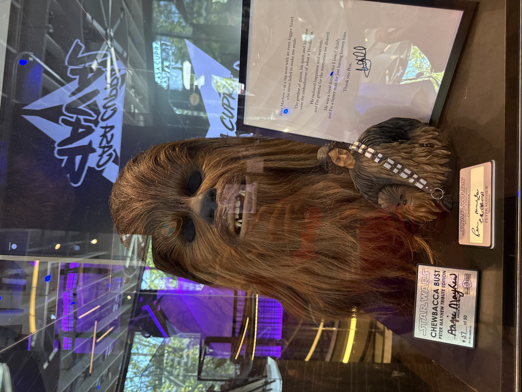 The image shows a display case containing a large Chewbacca bust, a small figurine of a man with a Chewbacca-like appearance, a framed letter, and two small plaques. The Chewbacca bust is the most prominent object, with its distinctive fur, teeth, and eyes. The figurine depicts a smiling man with dark hair and a bandolier, reminiscent of Chewbacca's costume. The framed letter contains text about Peter Mayhew, the actor who played Chewbacca, and is signed. One plaque reads "STAR WARS CHEWBACCA BUST PETER MAYHEW TRIBUTE EDITION" with a signature and a number "#37 of 50". The other plaque is partially visible and appears to be a "STAR WARS CHEWBACCA SIGNATURE EDITION". In the background, reflections on the glass show a modern interior with purple and yellow lighting, and signage that appears to say "CASA CUPRA" and "JAVA". The scene is indoors, likely in a public space or museum, as indicated by the display case and the professional presentation of the items. The reflection of the outside environment suggests it is daytime, and the overall style of the display suggests a Star Wars or pop culture themed exhibition. The presence of a "CASA CUPRA" sign in the reflection suggests the location is Casa CUPRA in Barcelona, Spain, which is a luxury co-working and lifestyle space that also houses the CUPRA Garage, a showroom and event space for the automotive brand CUPRA, which has had partnerships with Star Wars.
