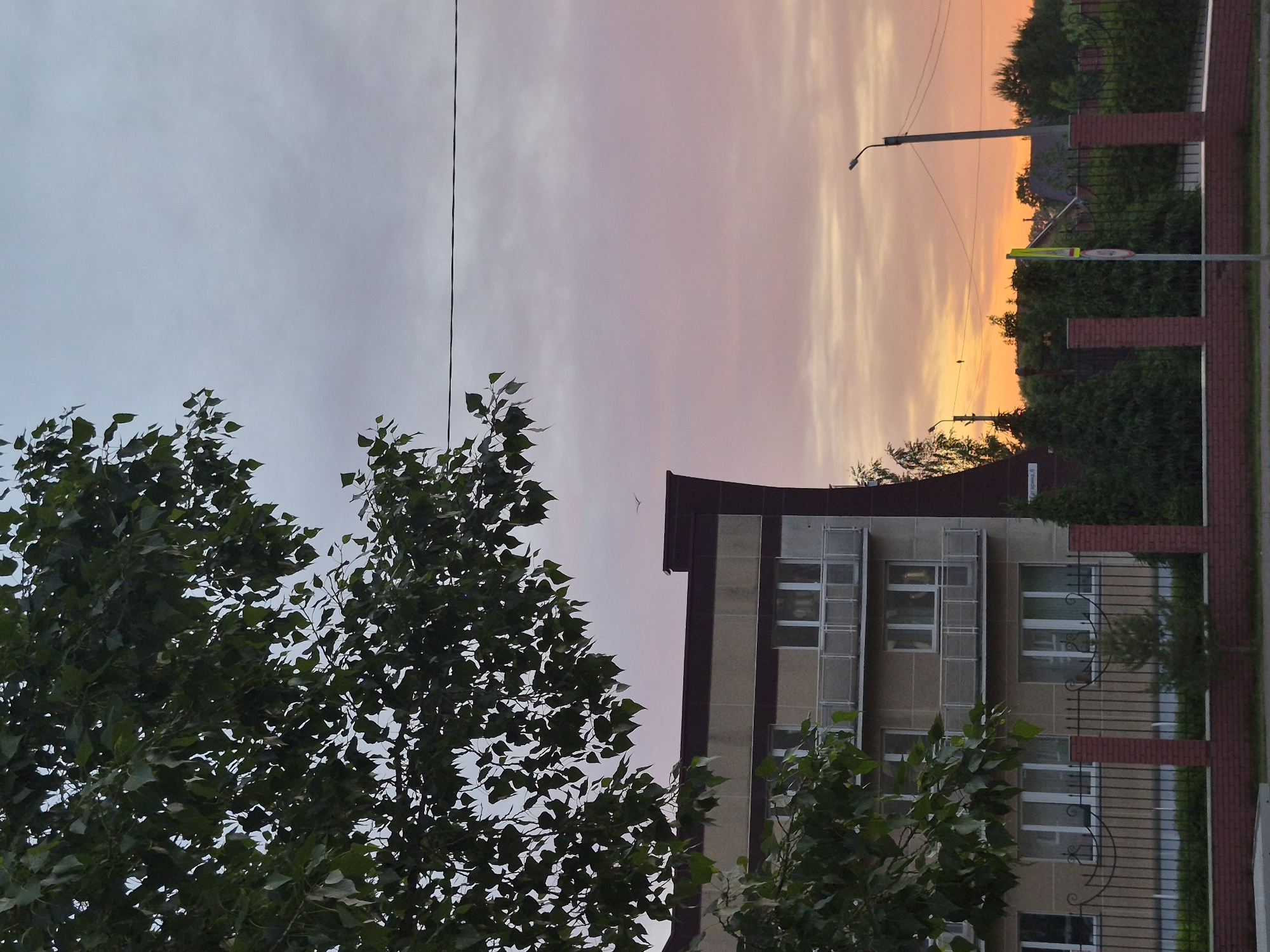 The image captures a cityscape during a vibrant sunset, possibly in Unknown, Unknown. The scene is composed of several elements: a large tree with dense foliage dominating the lower left corner of the frame, a multi-story building adjacent to the tree, a brick and metal fence running horizontally across the lower right section, and a sky ablaze with hues of orange, pink, and pale blue. A street light can be seen in the distance. The building features a tan facade with dark vertical stripes and multiple windows. A power line stretches across the sky. A bird flies in the sky.