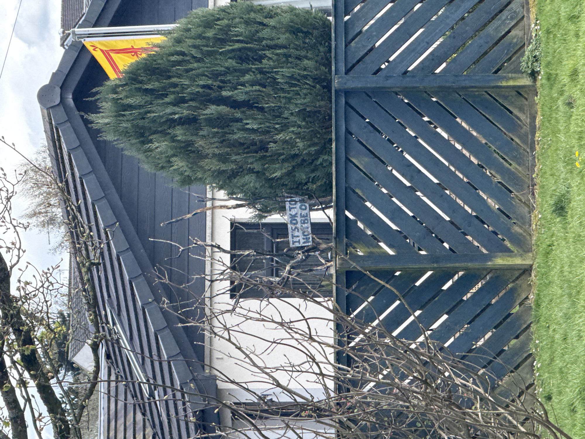 This outdoor shot, taken in an unknown city, features a house with a dark gray roof and a yellow flag flying from the roofline. A green, dense bush is partially obscured by a dark blue wooden fence with diagonal slats. A small sign reading "IT'S OK TO NOT BE OK" is visible near the base of the bush. In the foreground, a tree with bare branches and emerging buds adds a natural element to the scene. A patch of green grass is visible to the right of the fence. The overall composition creates a sense of a private garden or yard.