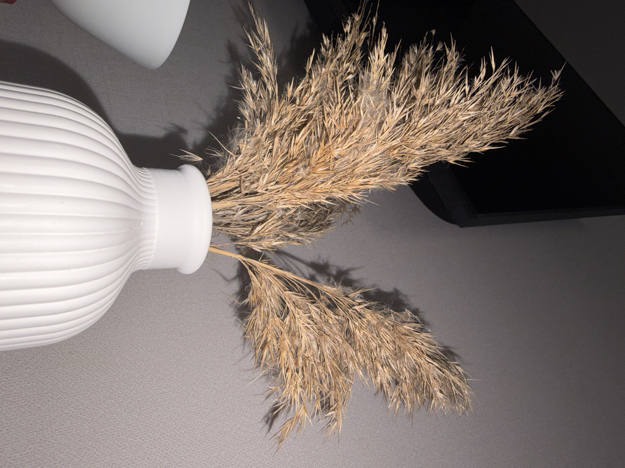 The image, captured in Krasnodar, Russia, presents an indoor still life composition viewed from above. A white, horizontally ribbed vase is positioned on its side on a light grey, textured surface, possibly a table or countertop. A bouquet of dried, light brown and beige ornamental grass, resembling pampas grass, emerges from the vase's opening, fanning out across the grey surface. The grass exhibits a feathery, somewhat wispy texture, with fine details and subtle fluffiness visible on the individual plumes. Shadows from the grass and vase are cast softly onto the grey background, indicating a light source from the upper left. In the upper right portion of the image, a dark, undefined object or surface is present, contributing to a deeper shadowed area. The overall lighting is soft and indirect. There are no people, visible activities, or discernible text. The scene is static, focusing on the decorative arrangement of the vase and dried natural elements.