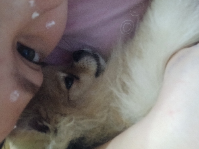 A tan Pomeranian puppy nestles close to a fair-skinned person. The puppy's head rests against the person's cheek. The person has dark eyelashes and blue eyes. A pink, patterned fabric provides a backdrop. The fluffy puppy appears content, with its nose and mouth visible. There are some white marks on the person's face. The scene conveys warmth and affection between the person and the small dog.