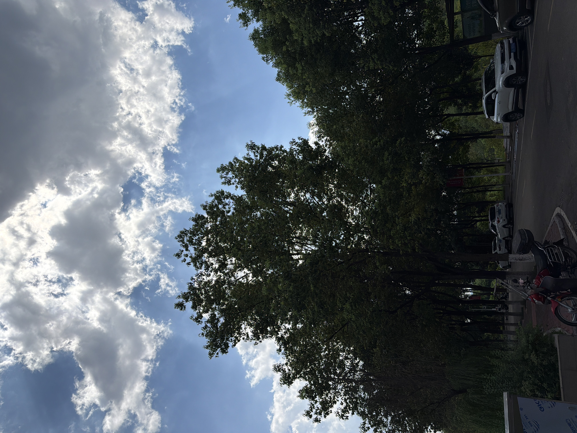 The image captures a view of a street lined with trees, with a backdrop of a partly cloudy sky, likely taken in Jiangjin, China. In the foreground, a red motorcycle is parked on the side of the road. Further down the street, several white cars are parked, and some are in motion. The trees are dense and tall, forming a canopy over the street. The sky is a mixture of blue and white clouds, with sunlight filtering through. The overall scene suggests a daytime setting in a suburban or urban area with significant greenery.