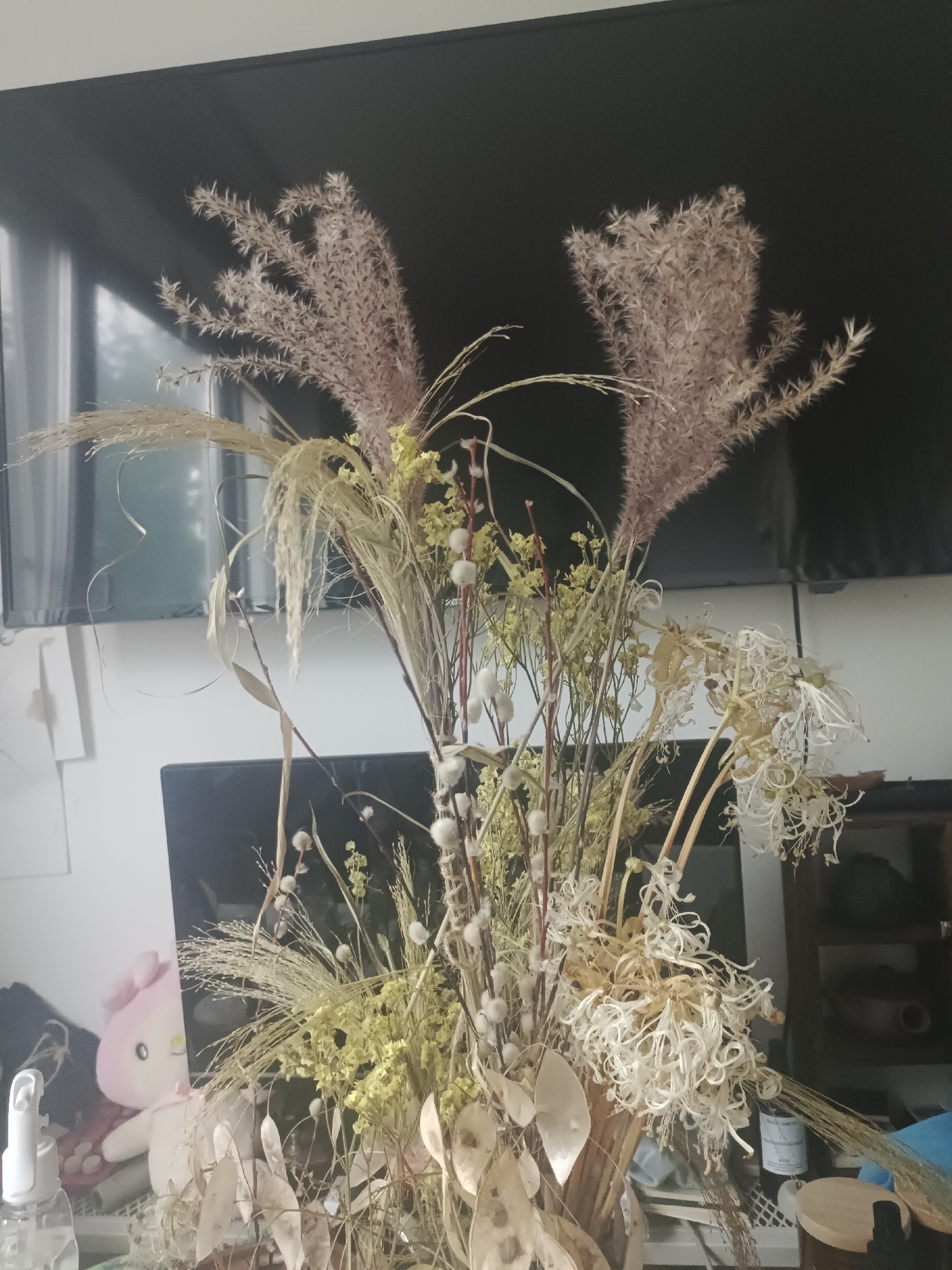 A still life arrangement of dried plants, including tall, feathery plumes, grasses, and delicate seed pods, is displayed in a vase. The background features a dark, reflective surface, likely a television screen, with a portion of a white wall visible to the left. A pink and white stuffed animal is positioned behind the floral arrangement on the left side of the image. To the right, shelves with various items, including a dark wooden cabinet and some containers, are partially visible. The scene appears to be set indoors, possibly in a residential or office environment, with no indication of the specific city of Moscow, Russia, or any forensic details.