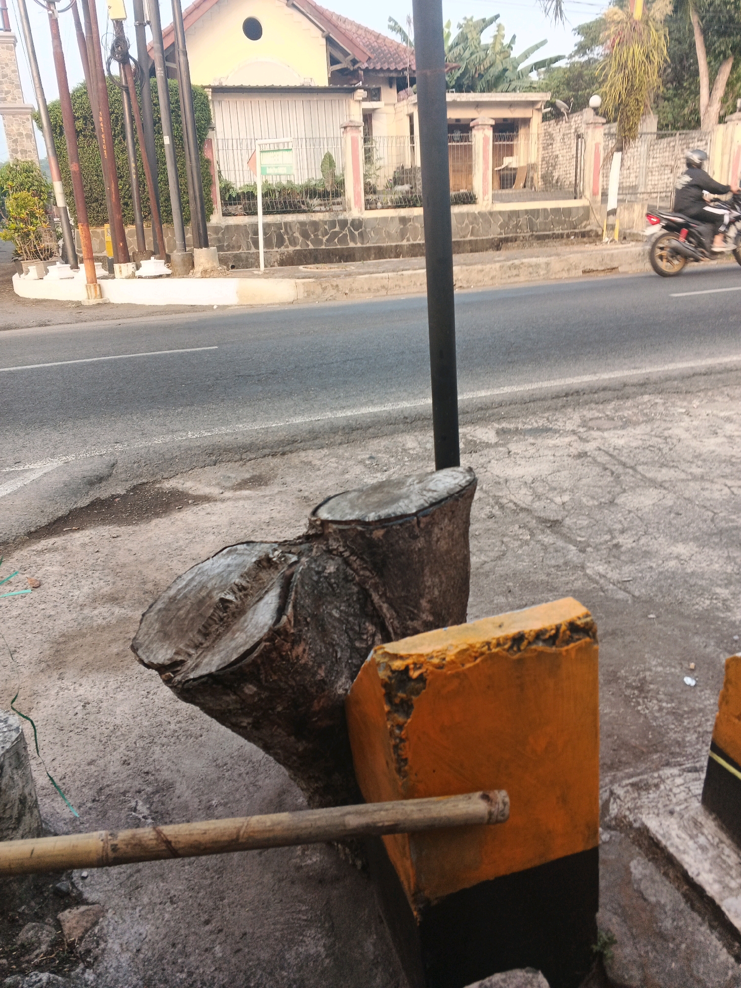 The image shows a roadside scene in Semarang, Indonesia, with a focus on a cut tree stump and surrounding elements. In the foreground, a large, rough-cut tree stump dominates the left side, its weathered surface showing rings and cracks. To its right, a bright orange concrete block with a black base stands partially visible. A bamboo pole stretches horizontally across the lower portion of the frame, resting on the ground and partially obscuring the tree stump.
The middle ground reveals a paved road with a white line marking its edge, and a gray concrete sidewalk or barrier separates the road from the foreground. In the background, a building with a white facade and a tiled roof is visible. Several utility poles with numerous wires are lined up along the side of the road. Further back, a person on a motorcycle is captured in motion, heading away from the camera on the road. The overall environment appears to be an urban or semi-urban setting, likely during daylight hours given the lighting conditions.