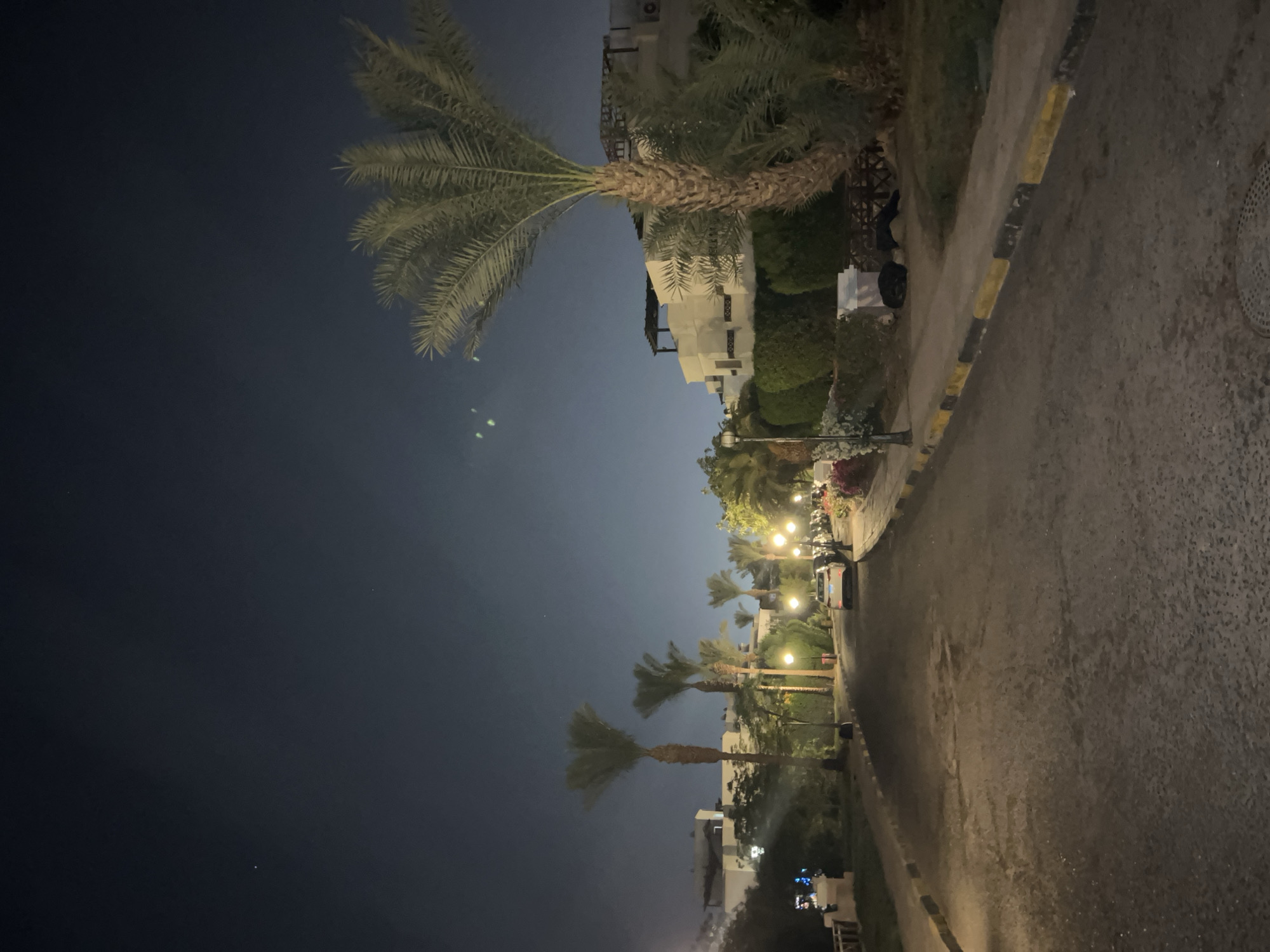 An upward-angle, medium shot captures a paved street lined with palm trees and low-rise buildings at night in Sharm El Sheikh, Egypt. The dark, starry sky is visible above. A white car is parked on the right side of the street, and several streetlights illuminate the scene. The buildings appear to be residential or resort-style, with white facades and flat roofs. Lush green vegetation, including hedges and more palm trees, surrounds the buildings and lines the street. The asphalt road shows signs of wear, with some patches and discoloration. The curbs are painted with yellow and black stripes. Two black bags or garbage bins are placed on the grass beside the sidewalk. The overall impression is that of a quiet, well-maintained residential or resort area at night.