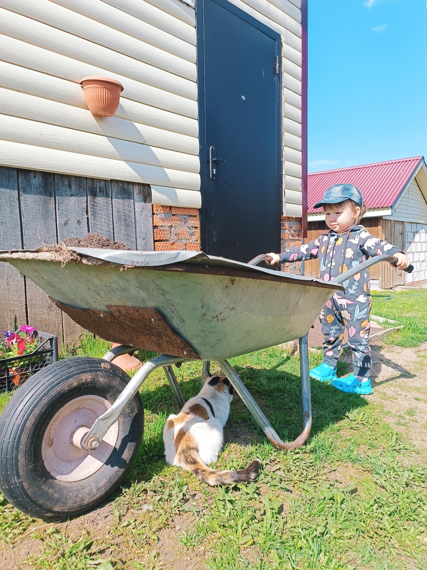 Outside a building in Большие Ошворцы, Russia, a young child wearing a patterned jumpsuit and blue shoes and a denim hat stands beside a wheelbarrow filled with soil, holding its handles. A white and brown cat is lying in the shadow of the wheelbarrow. The building has beige siding and a black door. A flower pot is attached to the building. Green grass covers the ground.