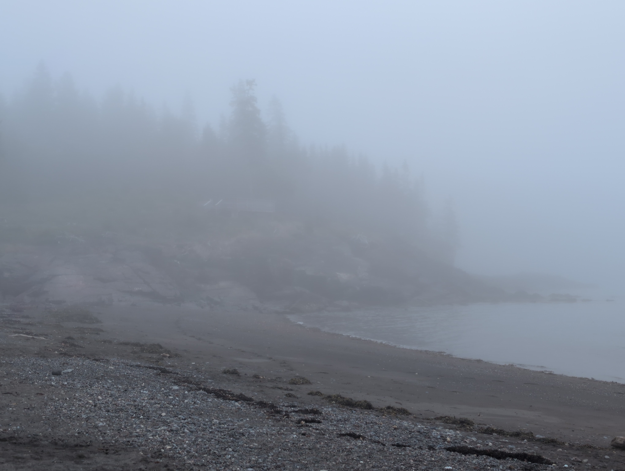 The image shows a foggy, overcast day at a rocky beach on Campobello Island, Campobello Parish, Canada. The foreground is a dark, pebbly beach with some seaweed. The middle ground features a dark, rocky shoreline extending into the water. A dense line of evergreen trees, obscured by thick fog, forms the background along the coast. The water is calm and indistinct due to the fog. No people or animals are visible. The overall impression is one of isolation and atmospheric gloom.