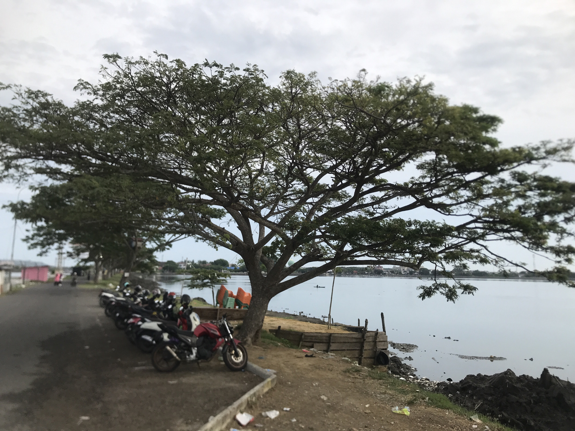 The image captures a cloudy day scene in Lhokseumawe, Indonesia, possibly near the coast or a large body of water. In the foreground, a paved road runs along the left side of the frame, with several motorcycles parked along its edge. These motorcycles appear to be of various colors and styles, with some showing helmets. Further down the road, two people are walking, one in a pink shirt and another in a darker outfit.
Dominating the central and right portions of the image is a large, mature tree with expansive branches and dense green foliage, casting a shadow over the ground. The tree stands close to the water's edge. To the left of the tree, a stack of colorful plastic chairs is visible.
The right side of the image opens up to a calm body of water, likely a lake or the sea, with a hazy horizon line suggesting distant land or buildings. The water's surface is smooth, reflecting the overcast sky. Along the shoreline, there's evidence of some rudimentary wooden structures and a pile of dark, rocky material. Scattered debris, including plastic waste, is visible on the ground and near the water. A small boat with a single occupant is present on the water in the mid-ground. The overall impression is a somewhat utilitarian or semi-developed area adjacent to a natural water body.
