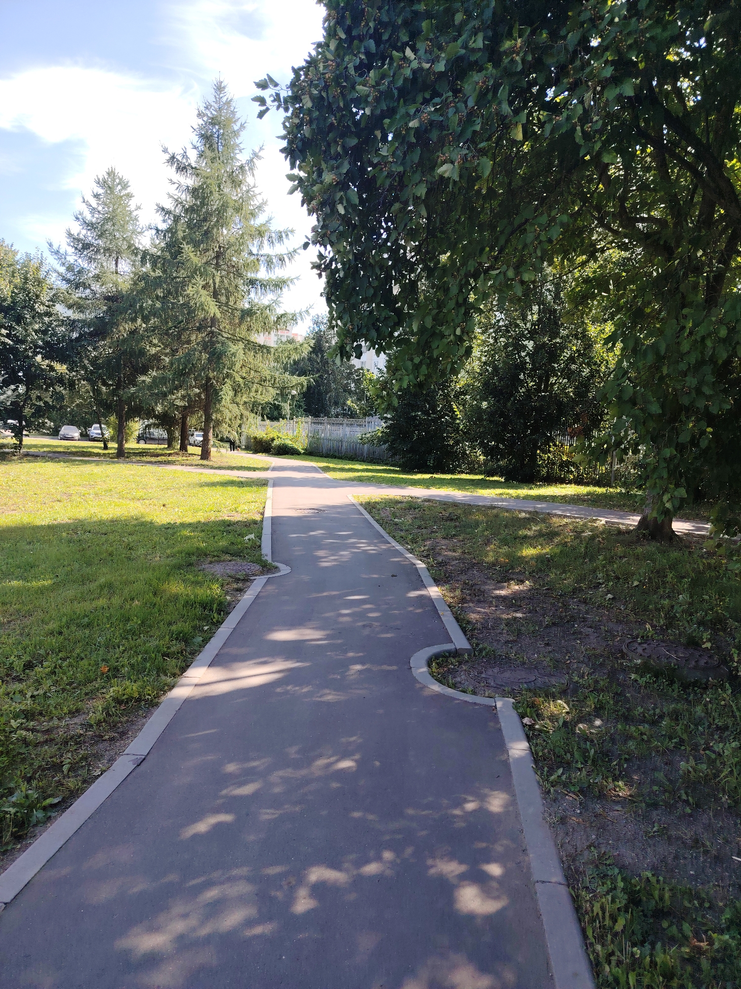The image depicts a paved pathway winding through a park-like setting with lush green grass and mature trees. The pathway is bordered by a concrete curb. Sunlight filters through the dense foliage, casting dappled shadows on the ground. In the background, several cars are parked on a side area, and a white fence runs along the edge of the park. The sky above is partly cloudy. This scene is located in the city of Zelenograd, Russia, likely within a residential area given the parked cars and proximity to buildings.