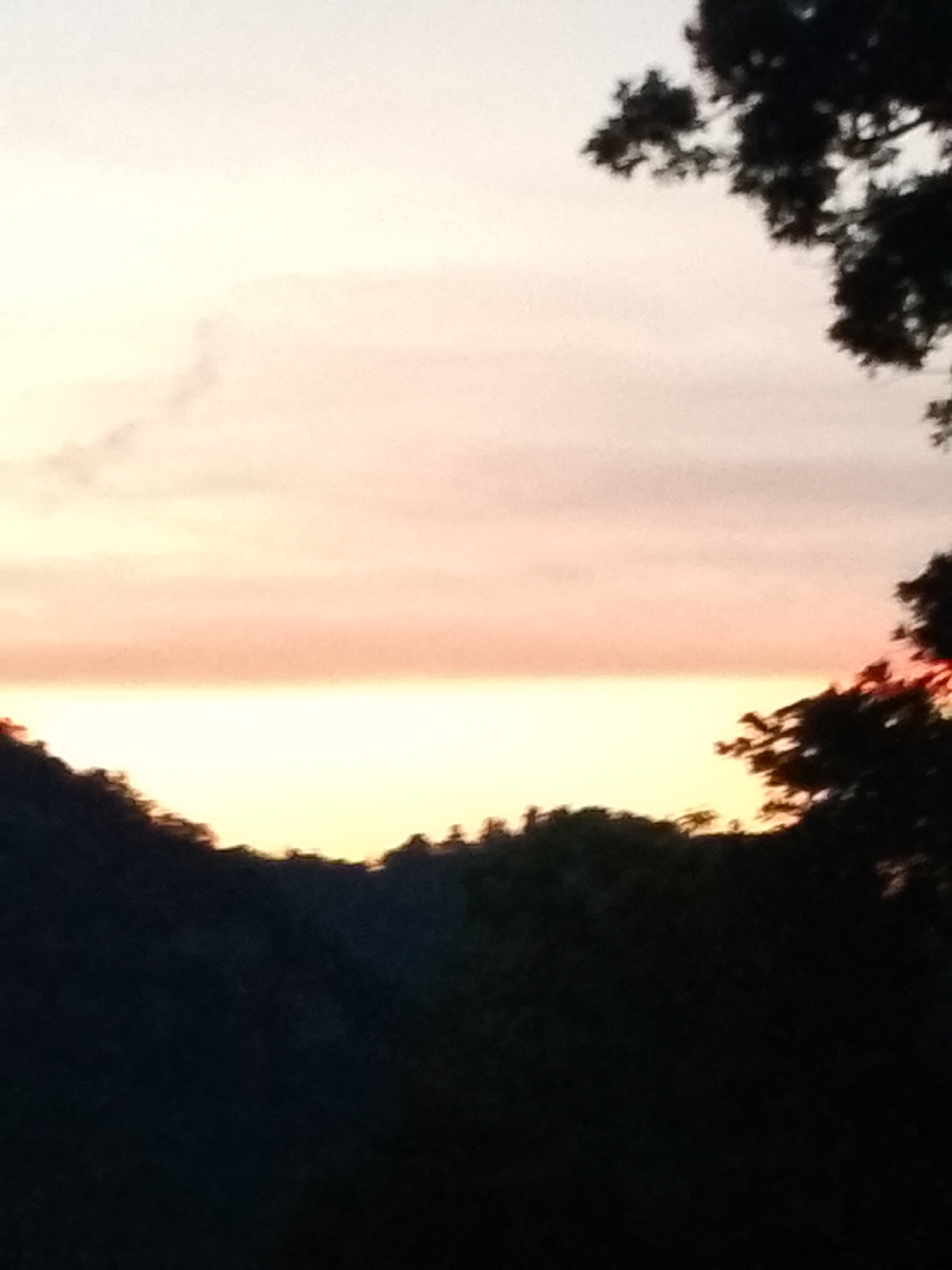 This image depicts a serene landscape at dusk, with the sky transitioning through hues of soft pink, orange, and pale yellow. A thin, horizontal band of brighter yellow suggests the sun has just set or is about to rise. Silhouetted against this vibrant sky are dark, undulating hills and the jagged outlines of trees. The foreground is dominated by the deep shadows of foliage, obscuring most of the ground. The overall impression is one of quiet beauty and natural tranquility. This scene is located in Valle Castellana, Italy.