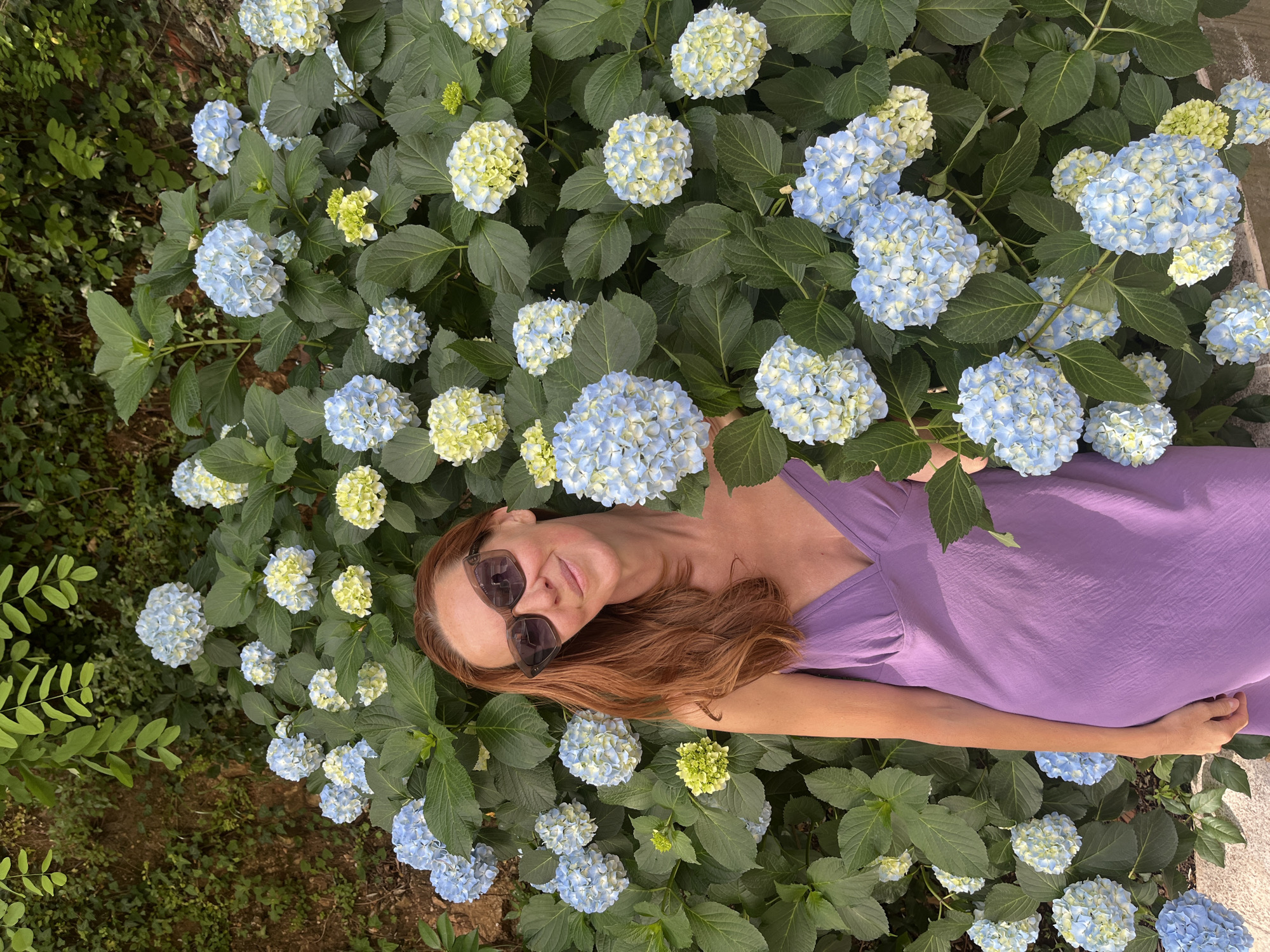 A medium shot of a woman lying in a bed of blue and pale yellow hydrangeas. She is wearing a violet dress and black sunglasses. The location is Budva, Montenegro.