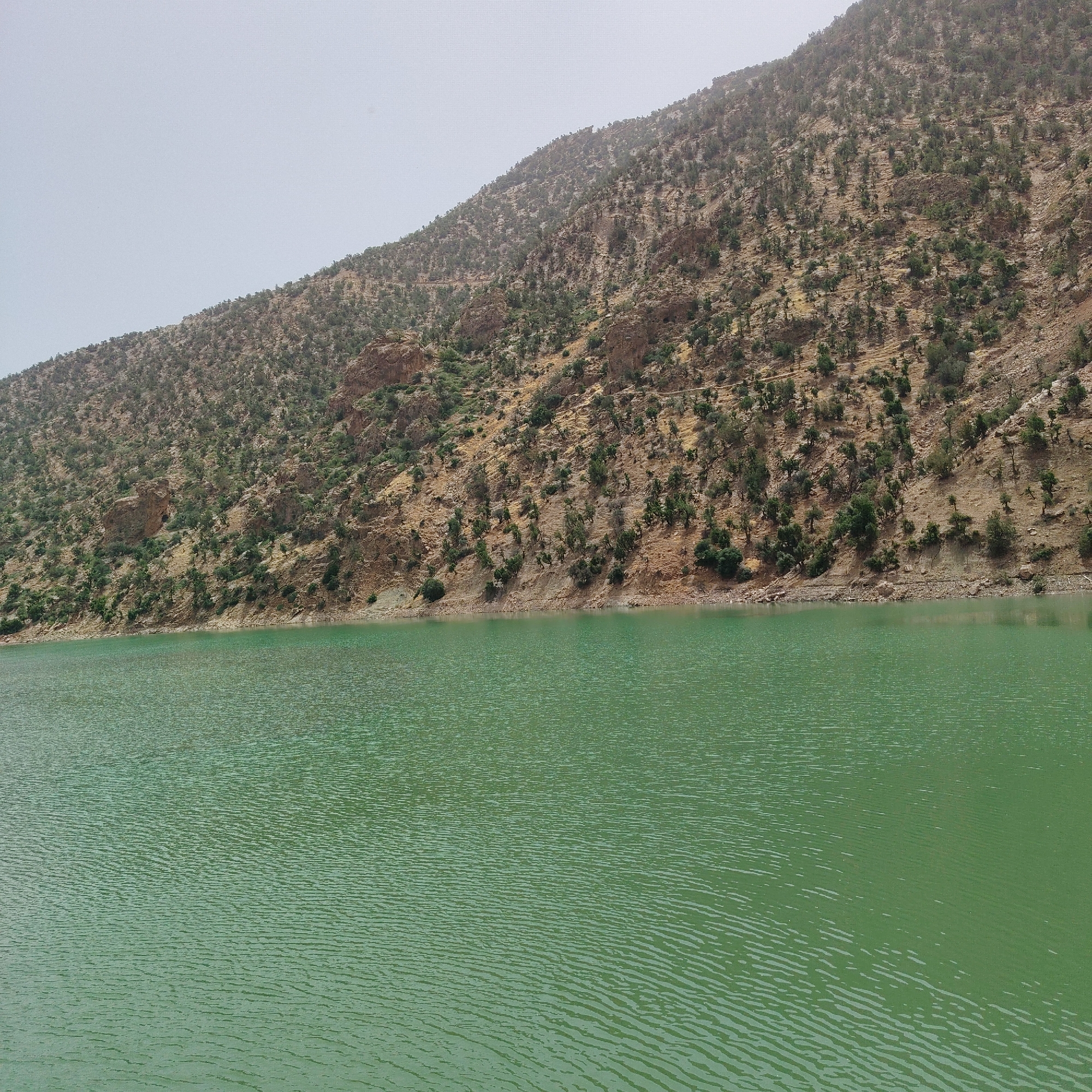 A wide-angle, eye-level shot captures a scenic view of a body of water in front of a steep, rocky mountain slope. The water in the foreground is a vibrant green, with subtle ripples across its surface indicating a gentle breeze. The mountain slope, dominating the upper two-thirds of the image, is characterized by its arid, rocky terrain, with sparse vegetation in the form of scattered trees and shrubs. The colors of the mountain range are earthy tones of brown, tan, and rust, with patches of darker green from the vegetation. The sky above is a pale, hazy blue, suggesting a slightly overcast or dusty atmosphere. The location is identified as Tabaroucht, Morocco. There are no people or discernible man-made structures in the frame, making it a purely natural landscape.