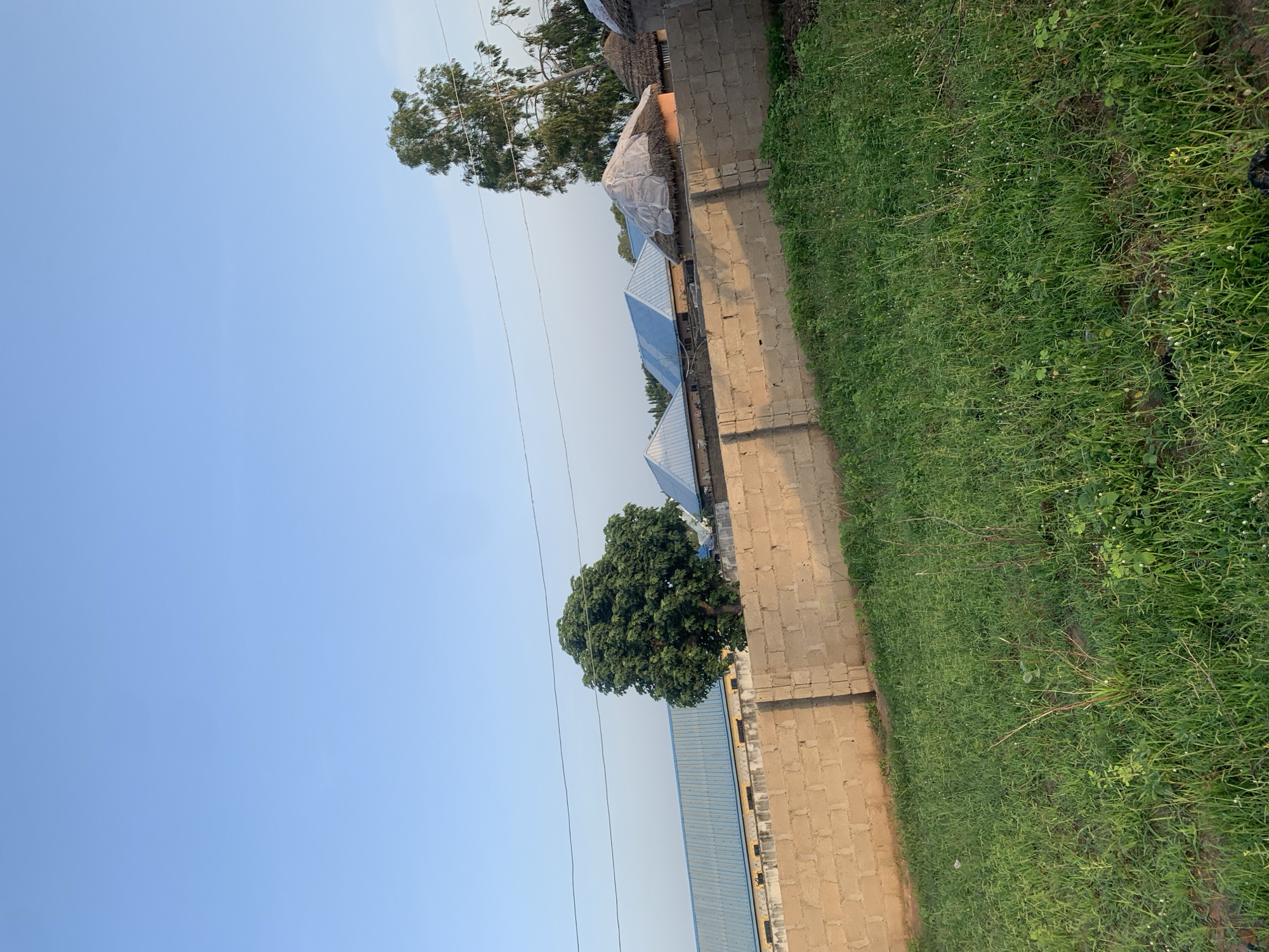 In Jalingo, Nigeria, a low-angle shot captures a walled compound under a clear blue sky. A beige brick wall runs diagonally across the frame, bordering a patch of overgrown green grass in the foreground. Beyond the wall, a row of buildings with metal roofs and thatched domes is visible, interspersed with trees. A large, leafy tree stands prominently to the left, while a tall, slender tree with sparse foliage is positioned to the right. Power lines stretch across the upper portion of the image, against the vast expanse of the sky. The scene suggests a rural or semi-urban residential area.