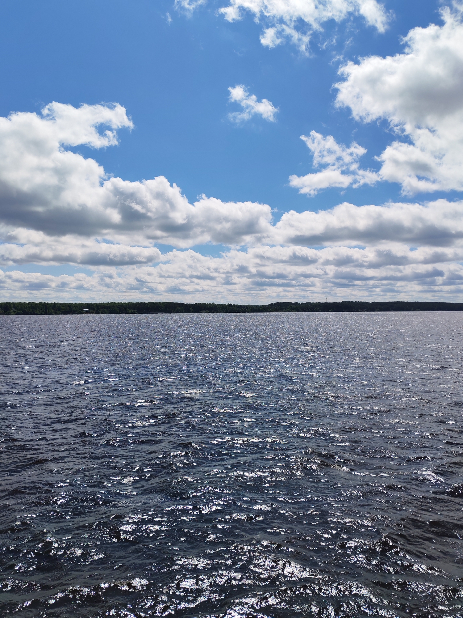 The image shows a body of water, possibly a lake, under a partly cloudy sky. The water is dark and rippled, with sunlight reflecting off the surface. In the distance, a line of trees is visible on the horizon. The location is unknown.