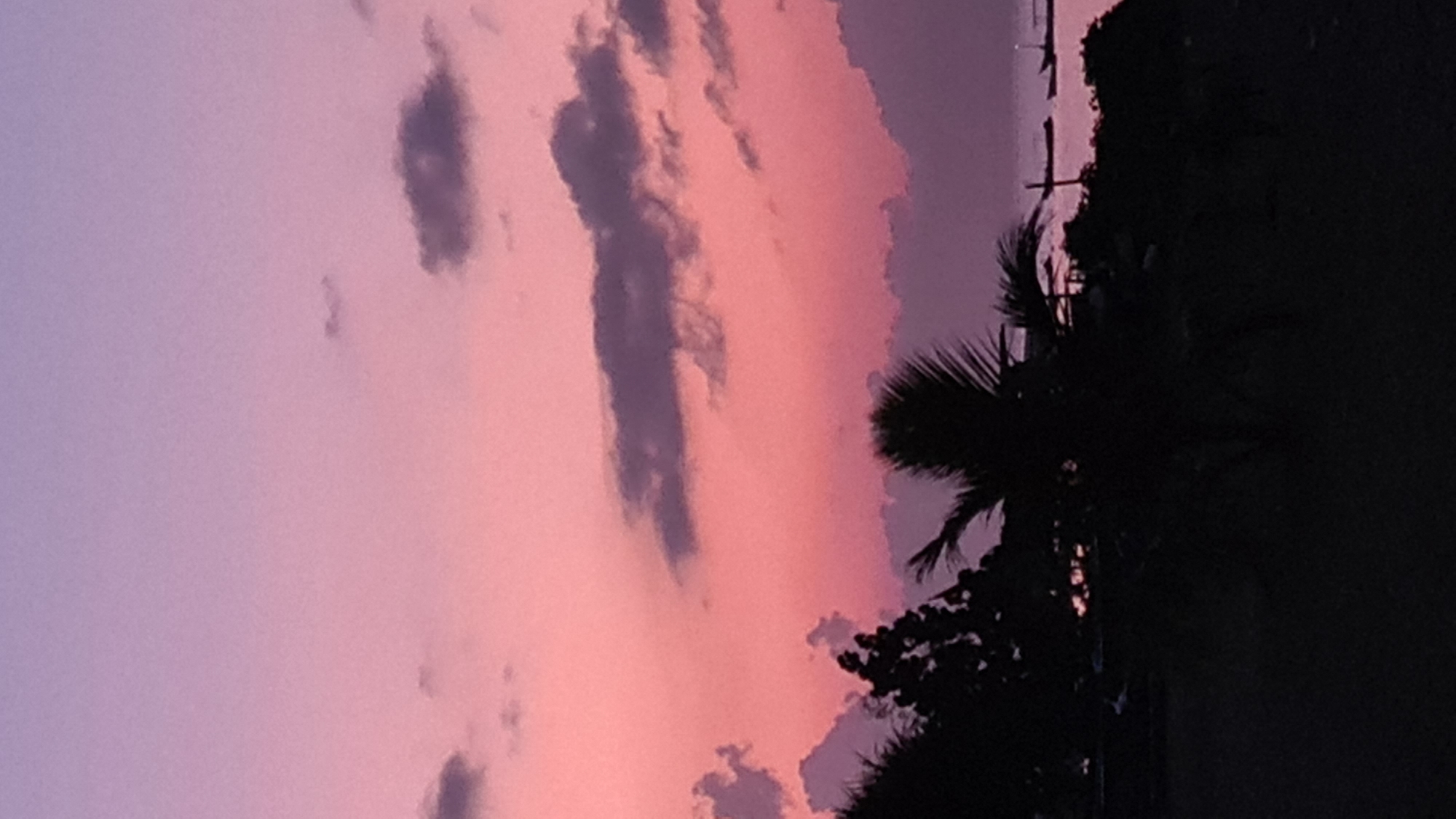 The image depicts a twilight scene over the ocean, likely in Denpasar, Indonesia, given the reference to this location. The sky is a gradient of soft pinks and purples, with scattered dark clouds. Silhouetted against this vibrant sky are the dark shapes of trees and palm fronds in the foreground, creating a stark contrast. In the background, the ocean is visible, with a few distant boats or structures on the horizon. The overall impression is one of a peaceful, natural landscape at the end of the day.
