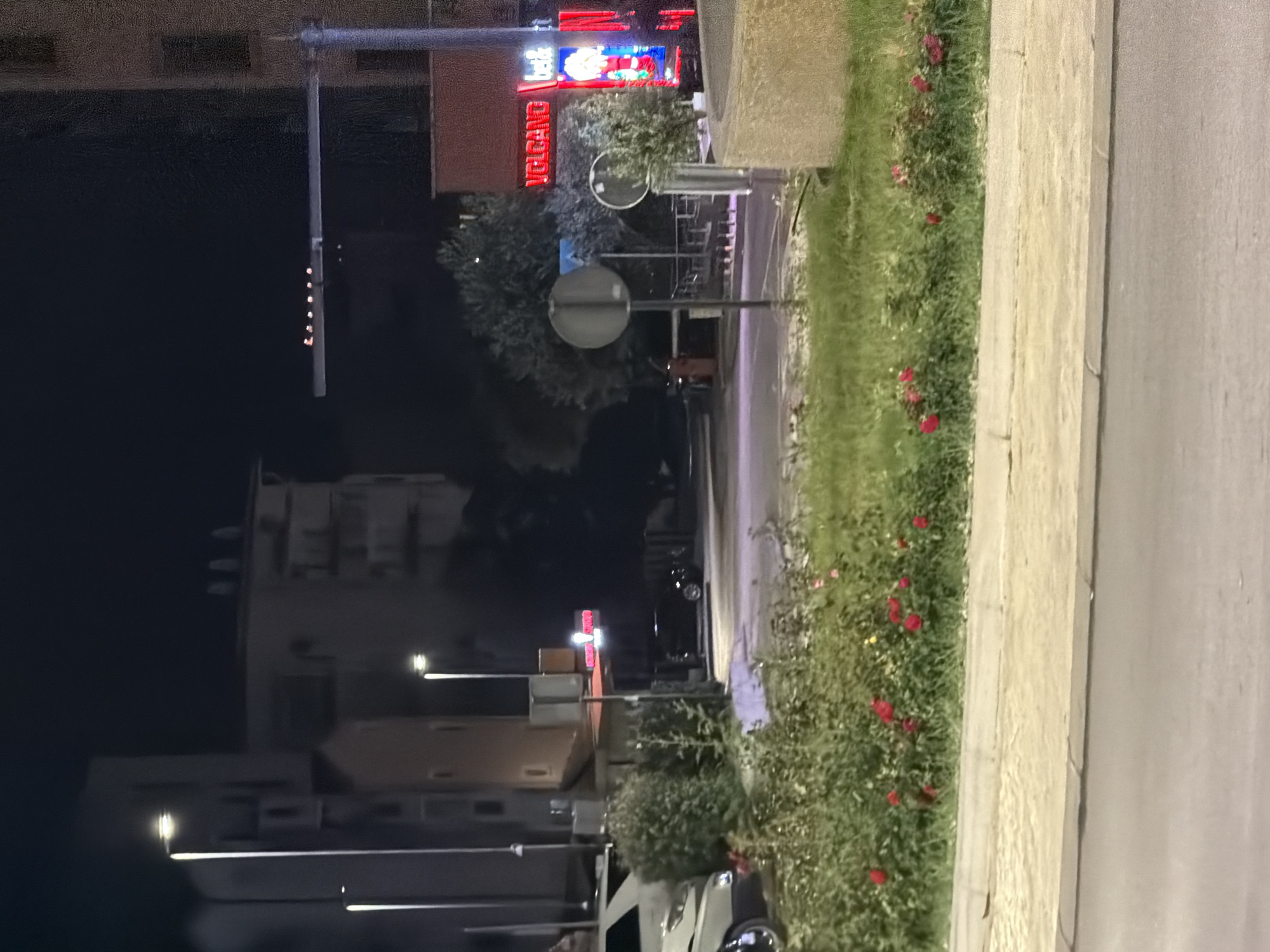 The image depicts an urban scene at night in Budva, Montenegro. In the foreground, a low-lying green area with scattered red flowers borders a paved walkway and a street. In the mid-ground, a building with multiple floors is visible, illuminated by streetlights. Adjacent to this building is a business with a bright red neon sign that reads "VELGANG" and a smaller sign next to it displaying "bet&". There are also trees and bushes present. Further back, more buildings and streetlights can be observed, creating a cityscape at night. A black car is parked on the street. The overall atmosphere is that of a moderately lit commercial area at night.