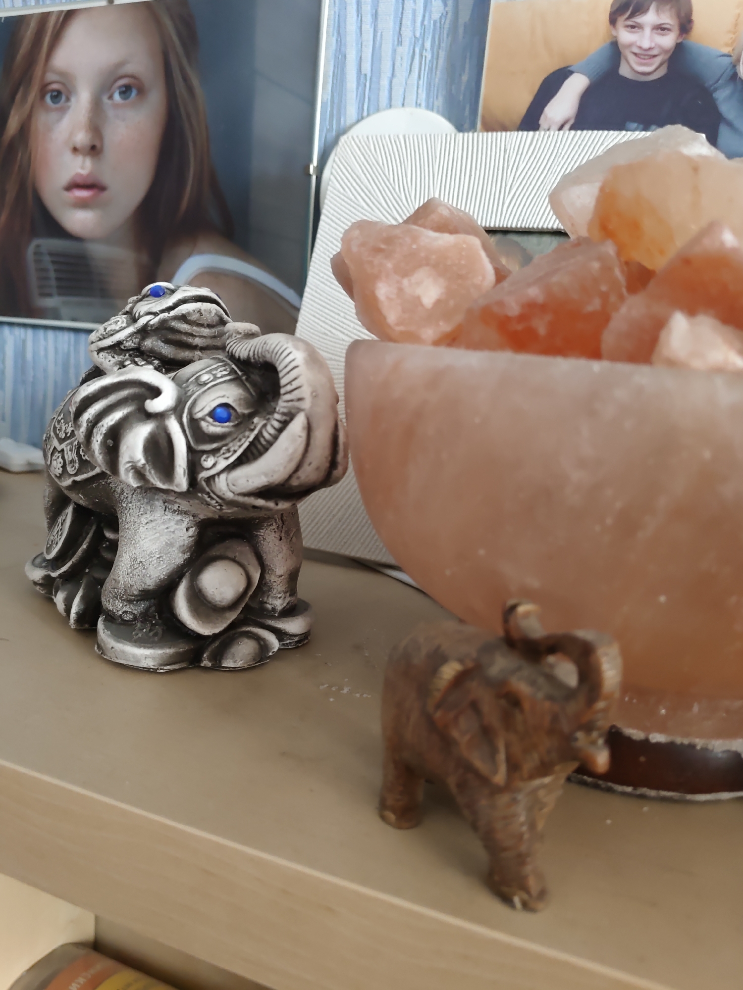 In Rostov-on-Don, Russia, on a wooden shelf, a silver-colored elephant figurine with blue jewel eyes stands in the foreground. Behind it, a smaller, carved wooden elephant figurine is positioned to the right. In the background, a large bowl filled with pink salt rocks is visible, partially obscuring a photograph of a young boy smiling. To the left of the salt rocks is another framed photograph, this one featuring a close-up of a young girl with freckles and blue eyes. The environment appears to be an indoor setting, possibly a home, with soft lighting.