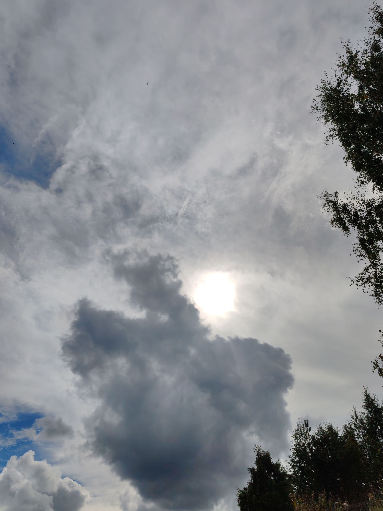 The image shows a sky with dramatic clouds and the sun partially obscured by a large, dark cloud formation in the center. To the right and in the upper right corner, the branches of trees with dark green leaves are visible, suggesting an outdoor environment. The lower right portion of the image also shows the tops of more trees and some dry foliage. The sky displays a mix of light and dark grey clouds, with some areas of bright white, indicating varying cloud density and light penetration. A small patch of blue sky is visible in the lower left quadrant, peeking through lighter clouds. The scene appears to be a natural landscape, possibly on the outskirts of a city like Чухлэм, Russia, given the presence of trees and an expansive sky. There are no people or specific city structures clearly depicted. The overall atmosphere is somewhat overcast and moody, with the bright sun creating a stark contrast against the darker clouds.