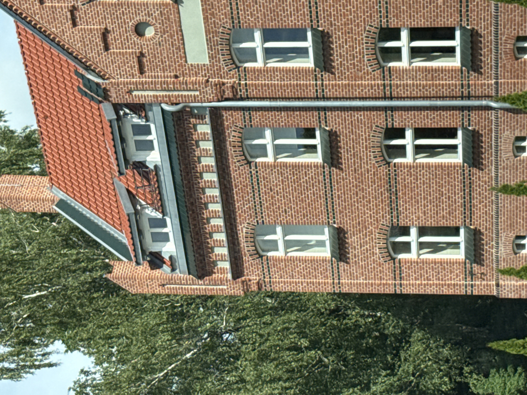 The image shows a close-up, eye-level view of a brick building with a red tiled roof and several windows. The building is made of red bricks with dark horizontal mortar lines. There are dormer windows with white frames on the roof. The main windows are also white-framed and appear to be double-paned. Some of the windows have arched tops. A metal downspout runs vertically down the side of the building. To the left of the building is a large tree with green foliage and white bark. The sky is visible and appears to be partly cloudy. The building is located in Šilutė, Lithuania.