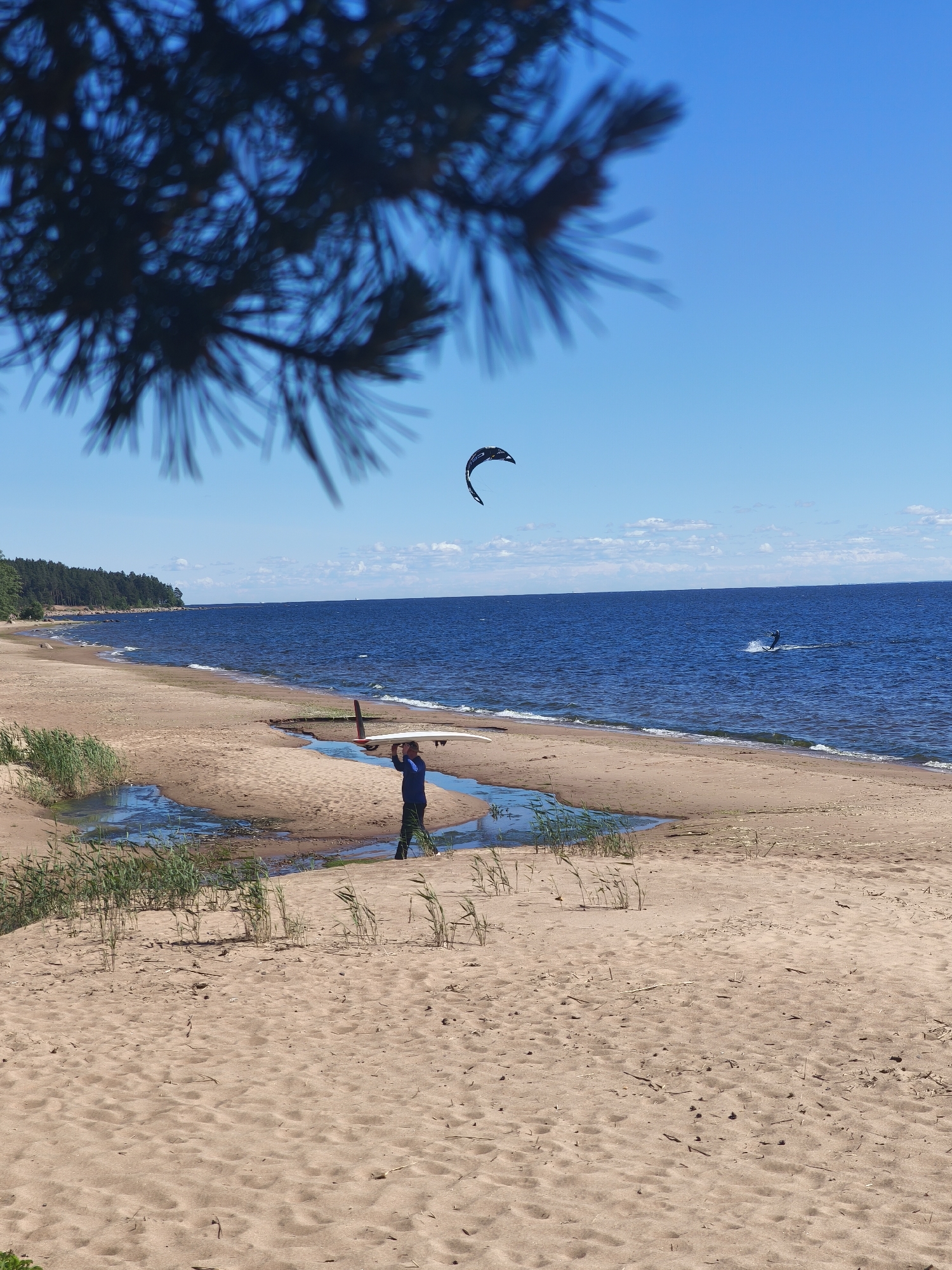 A beach scene in Zelenaya Roshcha, Russia, on a sunny day. The foreground is dominated by sand, with some sparse dry grass and twigs. A small stream or tidal pool winds through the sand. A person is walking on the sand, carrying a surfboard and what appears to be a kite. In the background, the blue ocean stretches to the horizon, with a forest line along the coast. A kiteboarder is visible in the distance, actively engaged in the sport. A dark kite is also in the sky.