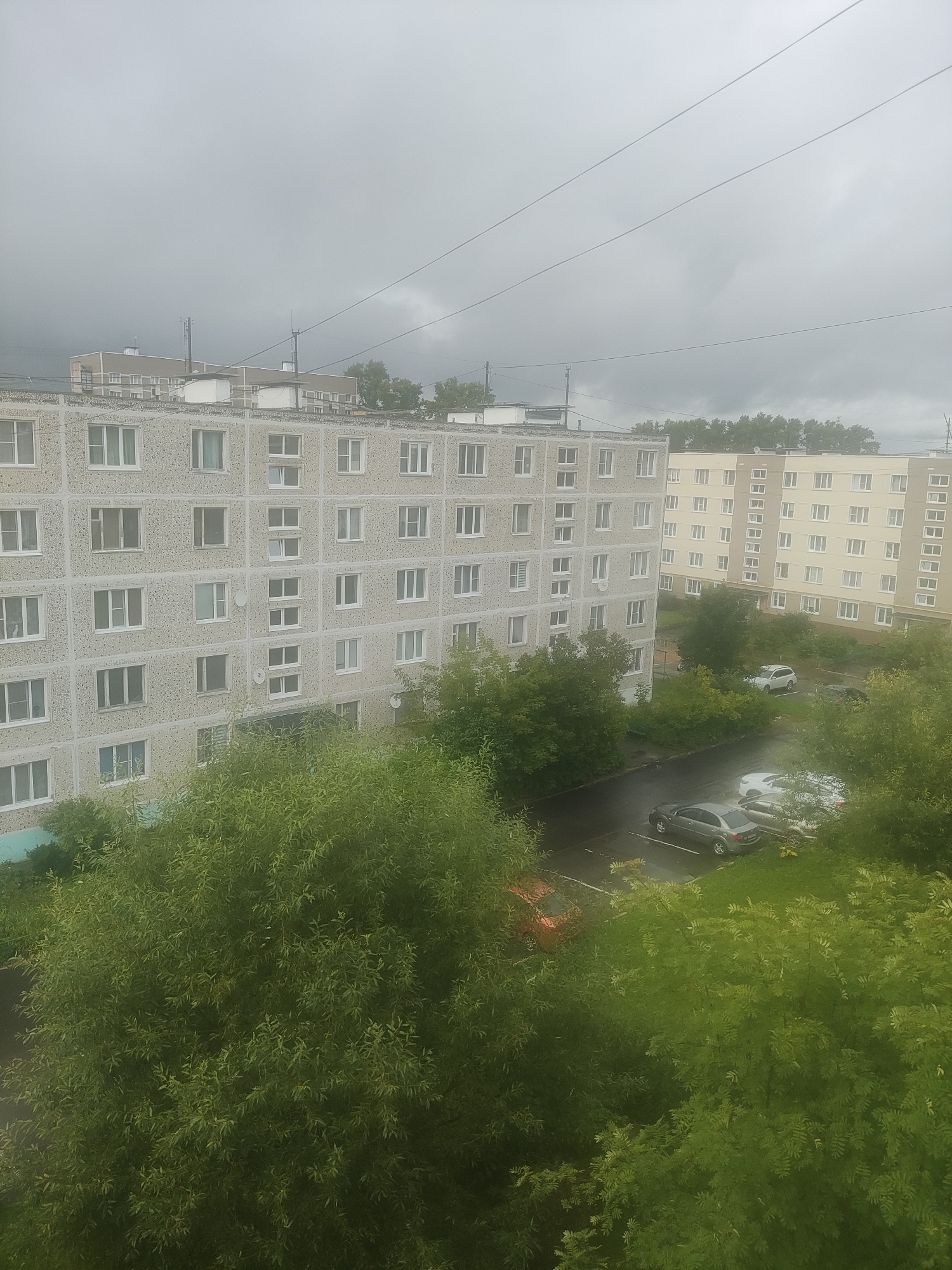 The image shows a cloudy, overcast sky over a residential area in пгт Вербилки, Russia. In the foreground, dense green foliage is visible. Behind the foliage, there are two multi-story apartment buildings. The building on the left is grey and concrete, with numerous windows. The building on the right is lighter in color, possibly yellow or beige, also with many windows. Between the buildings and in front of them, there is a paved area that appears to be a parking lot with several cars. The road surface is wet, suggesting recent rain. Power lines are visible stretching across the sky. Trees are also scattered throughout the scene.