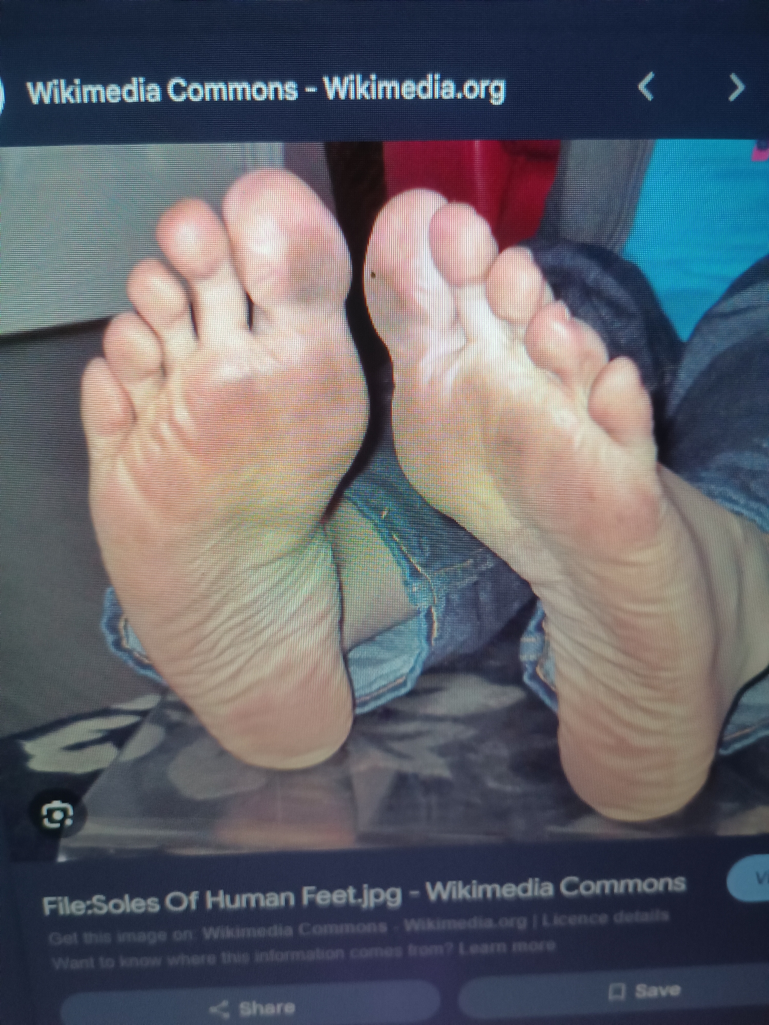 The image displays a close-up view of the soles of two human feet. The feet are positioned in a way that the arches and toes are clearly visible. The skin appears to have creases and textures typical of the soles of feet. The feet are resting on a surface that is partially visible, appearing to be a dark, patterned fabric. The context of the image suggests it is a digital display, possibly a screenshot from a computer or other device, as indicated by the presence of web browser interface elements at the top and bottom of the image, including the text "Wikimedia Commons - Wikimedia.org" and "File:Soles Of Human Feet.jpg - Wikimedia Commons". The lower part of the image also shows interface elements for sharing and saving, along with text relating to image licensing. There is no information within the image that suggests a location in the city of Burgas, Bulgaria.