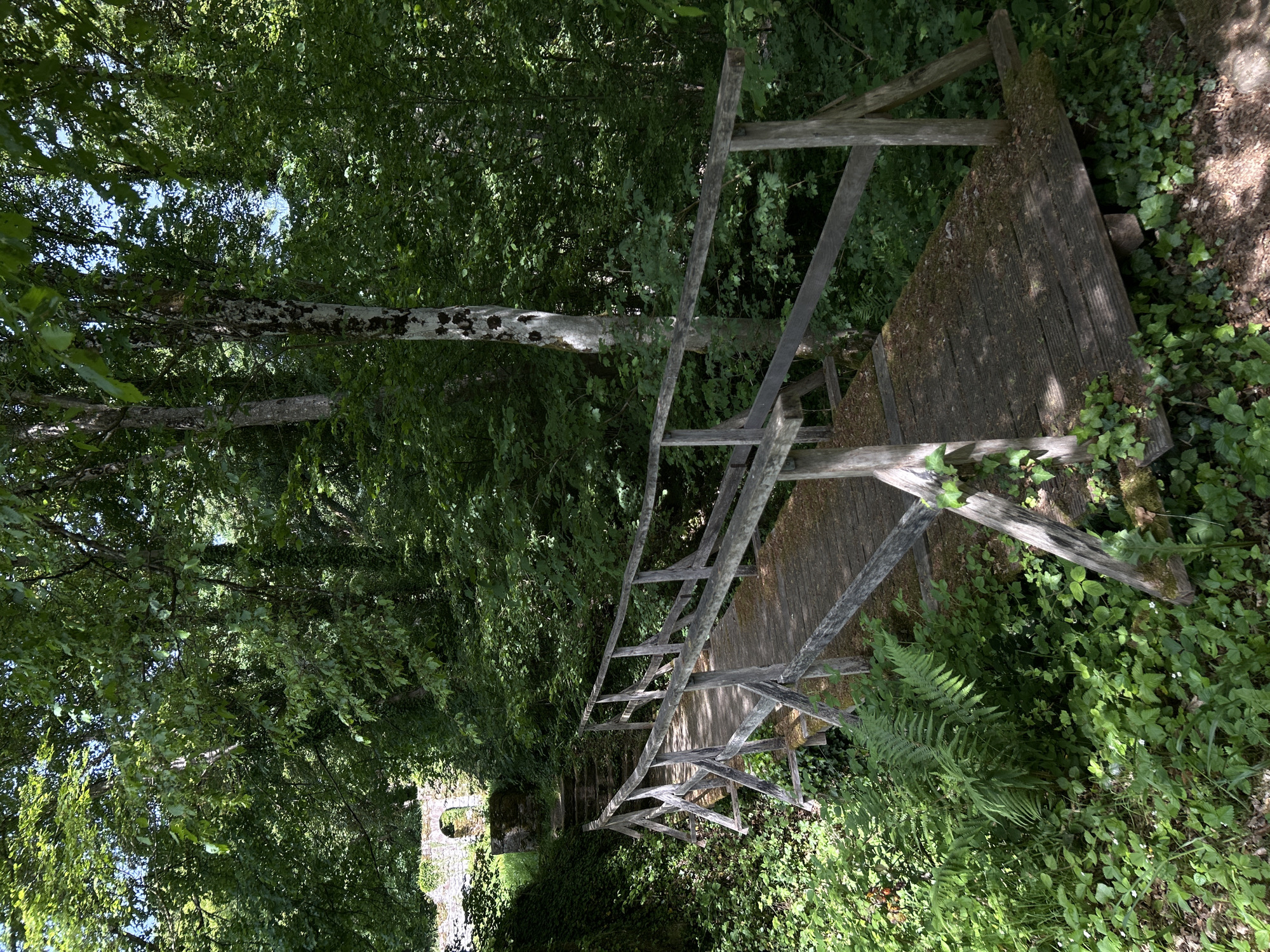 The image captures a weathered wooden bridge in a lush, wooded area. The bridge has a simple, rustic design with wooden planks and a wooden railing. The surrounding environment consists of dense greenery, including trees, shrubs, ferns, and various types of ground cover. The lighting is soft and diffused, creating a peaceful atmosphere.
In the background, at the end of the bridge, there is a stone ruin.
Based on the scenery, the image depicts the valley surrounding the ruins of a Cistercian monastery in Eberbach, Germany.
