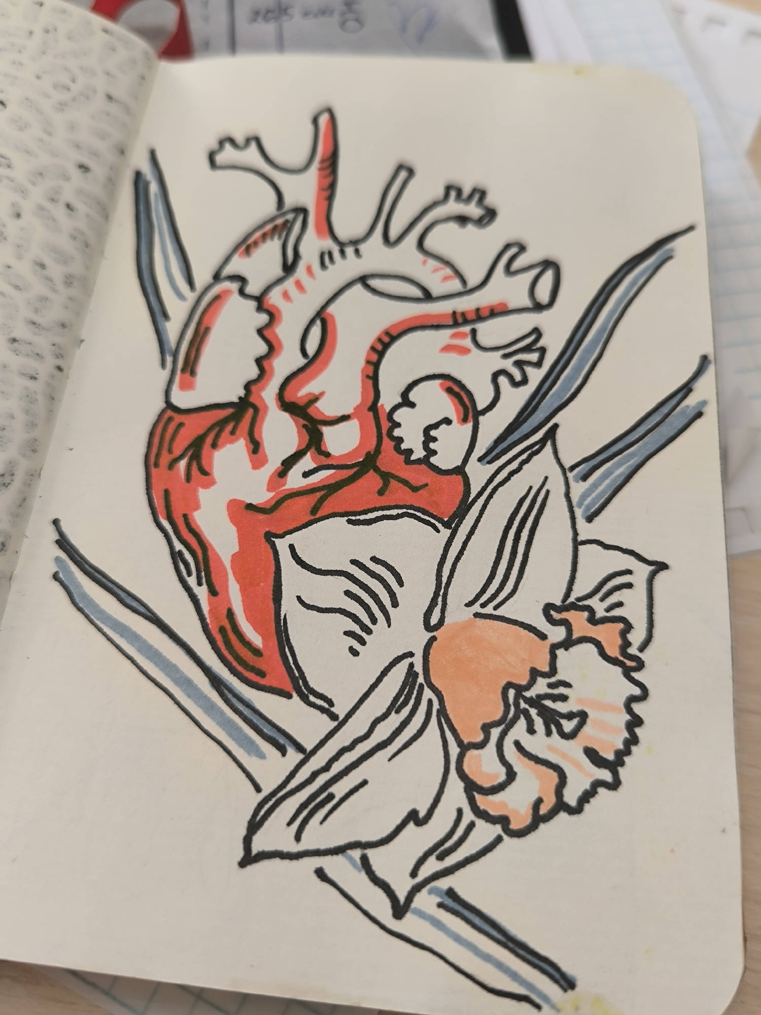 This image is a close-up of a drawing in a notebook, featuring a stylized anatomical heart colored in red and black, positioned above a daffodil with orange and yellow accents. The drawing is rendered with bold black outlines. The notebook page appears to be slightly yellowed and sits on a wooden surface, with other papers and a red object partially visible in the background. The image depicts an artistic creation rather than a scene from a city. Therefore, there is no information available about the city of Novosibirsk, Russia.