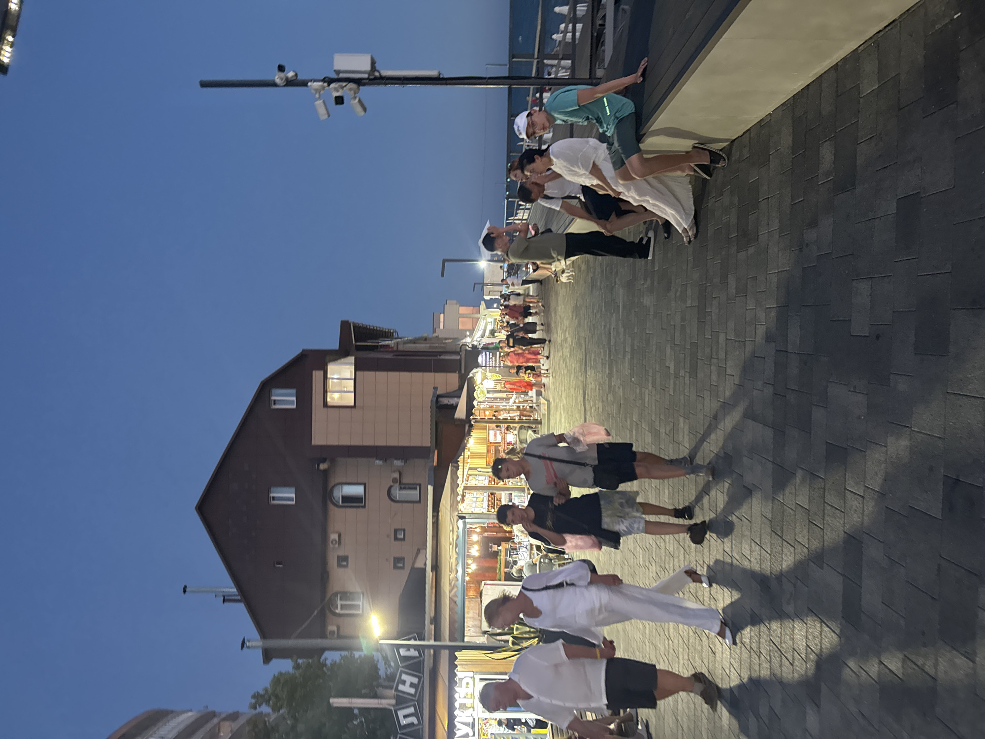 The image depicts a scene on a waterfront promenade in Sochi, Russia, during the early evening. The sky is a deep twilight blue, indicating the sun has set. The promenade is paved with grey interlocking bricks, and shadows of people are cast across the surface.
Several groups of people are visible. In the upper part of the image, a group of young people are gathered near a railing overlooking the water. One individual in a light blue t-shirt and shorts is leaning over the railing, looking down. Others in the group are wearing casual clothing, including white tops and shorts.
Further down the promenade, more people are walking and strolling. A group of four individuals are seen walking together. One person wears a grey t-shirt and black shorts, another a black t-shirt and a patterned skirt, and two others are in white clothing, one wearing a long white tunic and trousers, and the other a white short-sleeved shirt and black shorts.
To the left of the promenade, there are buildings that appear to be shops or restaurants. The architecture includes a building with a dark brown pitched roof and several windows, some of which are lit from within. There are also signs with Cyrillic text visible on the storefronts. One sign reads "ФРУКТЫ" (FRUITY) and another partially visible sign appears to have "ЛАНЧ" (LUNCH).
A lamp post with security cameras is visible in the upper left portion of the image. The overall atmosphere suggests a leisurely evening on a popular public space, likely a tourist area given the shops and the waterfront setting. The people appear relaxed and are engaged in activities typical of an evening stroll.