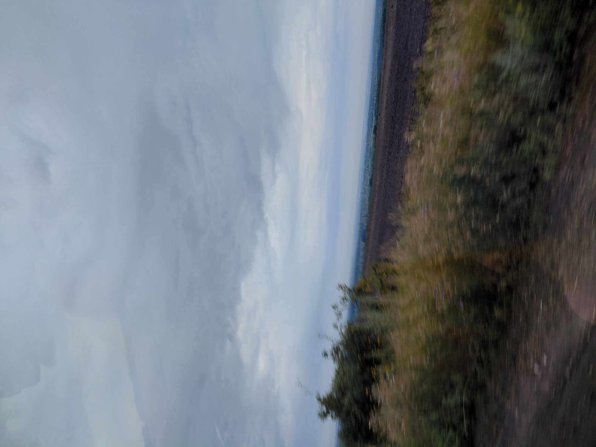 The image captures a landscape under a cloudy sky, likely taken from a moving vehicle due to motion blur. The foreground consists of a dirt path and blurred vegetation, including bushes and tall grass with some small flowers. Beyond this, a tilled field of dark earth stretches towards the horizon. In the distance, a faint outline of trees and structures suggests a settled area. The sky is filled with various shades of grey clouds, some appearing dense and others more wispy, with a subtle hint of blue peeking through in places. The overall impression is that of a rural or semi-rural setting on an overcast day.