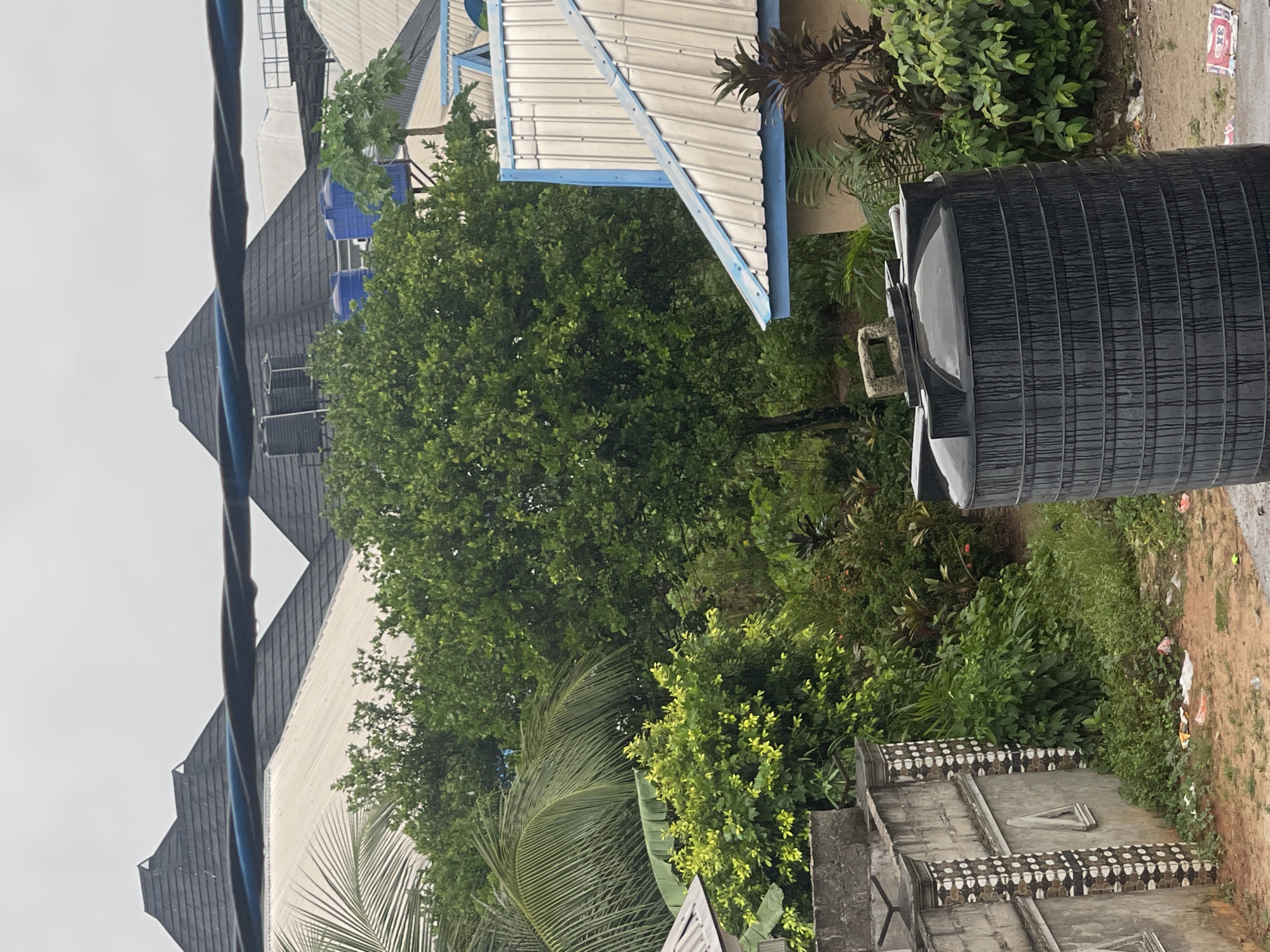 The image shows an outdoor scene in what appears to be a residential area of Abraka, Nigeria. A large, black plastic water storage tank is prominently visible in the foreground on the right side of the frame. It's situated beside a dirt path or road. Lush green vegetation, including various trees, shrubs, and grasses, fills much of the middle ground. A section of a low concrete wall, adorned with decorative white markings, is visible near the bottom edge of the frame, on the right side.
In the background, multiple buildings with dark gray pitched roofs are visible. The roofs have a distinct triangular shape, characteristic of local architecture. A white metal roof with a blue trim is also discernible. A dark, thick cable runs diagonally across the left side of the image, partially obscuring the buildings. The overall impression is one of a humid, densely vegetated environment with clear signs of residential development. The sky is overcast and the light is diffused.
