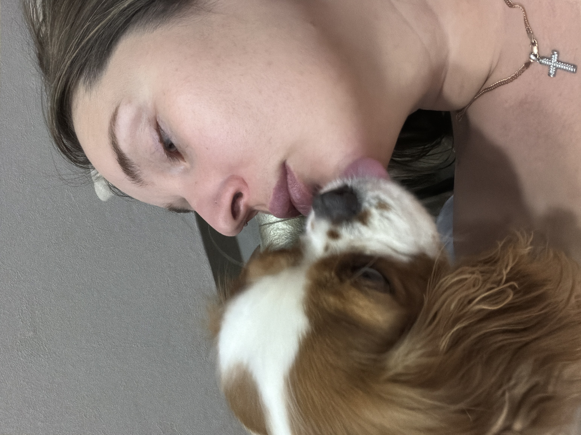 A close-up image captures an intimate indoor scene involving a female individual and a dog. The individual, seen in profile facing left, has fair skin, light brown hair, and wears a small silver nose ring on her left nostril. Her eyes are partially closed or averted downwards. A thin gold-colored chain necklace with a silver-colored, stone-encrusted cross pendant is visible around her neck. A Cavalier King Charles Spaniel, predominantly brown and white (blenheim pattern) with long fur, is positioned facing right towards the individual. The dog is actively licking the individual's lower lip or chin area, with its pink tongue clearly extended. The background is a plain, textured light grey surface, indicative of a wall or soft furnishing in an indoor setting. There are no visual cues within the image to confirm the specific location in the city of Chaikovsky, Russia.