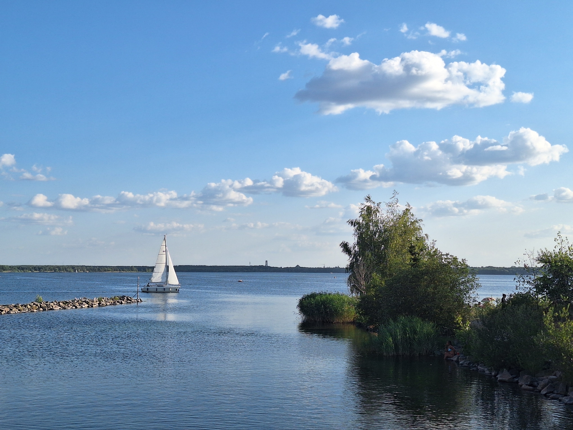 This image captures a serene scene at the Leipzig New Lakeland (Leipziger Neuseenland) on a clear, sunny day. In the foreground, the calm, blue water of a lake reflects the sky. A breakwater made of dark stones extends into the water from the left, with several seagulls perched on its surface.
A white sailboat with its sails fully extended is positioned in the middle distance, gliding across the water. Further in the background, a distant tree-lined shore is visible, with hints of structures on the horizon. The sky is a vibrant blue, dotted with fluffy white cumulus clouds.
On the right side of the image, lush green trees and reeds grow along the shoreline, casting shadows on the water. There are also several people visible in the scene: a woman wearing a blue bikini sits on the rocks near the water's edge in the lower right. Two other figures, possibly a couple, stand behind some bushes further up the embankment on the right. In the far distance on the water, a few other small boats are visible. The overall impression is one of a peaceful recreational setting.