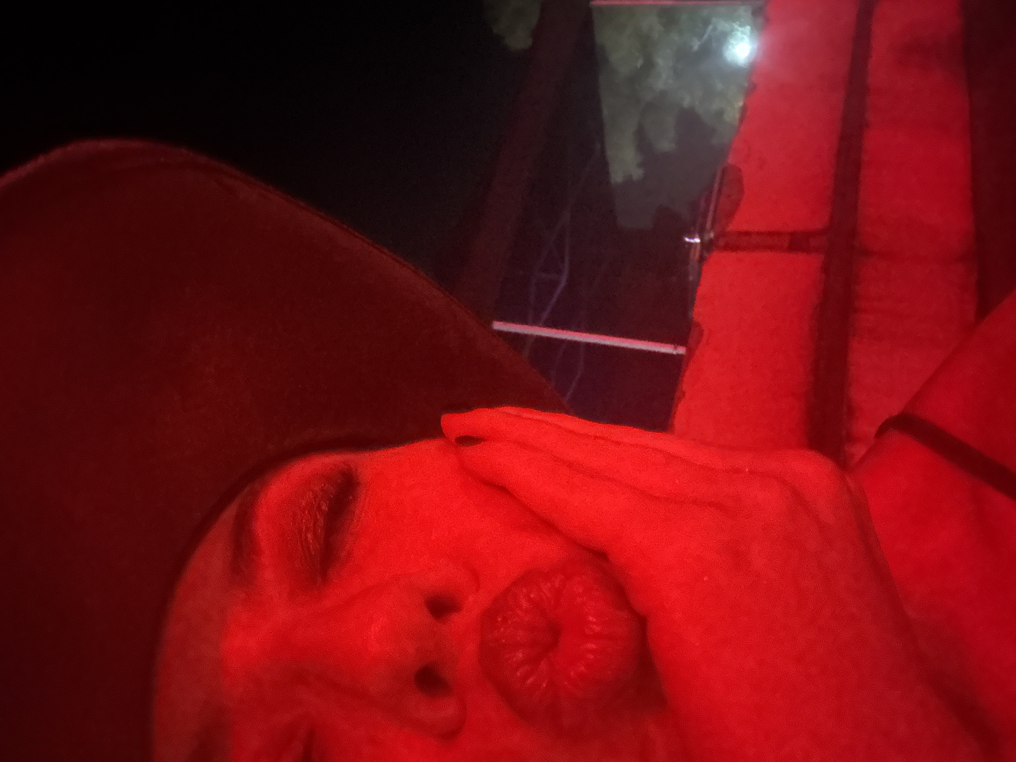 A close-up, low-angle, night-time selfie shows a person wearing a dark cowboy hat. The person's face is illuminated by red light, obscuring clear details of their features, though their lips are puckered in a kiss. Their right hand is touching their cheek. In the background, a dark, indistinct structure with some glowing lights and foliage is visible. The scene appears to be outdoors, possibly at a venue or event. There is no information to suggest the image was taken in Sofia, Bulgaria.