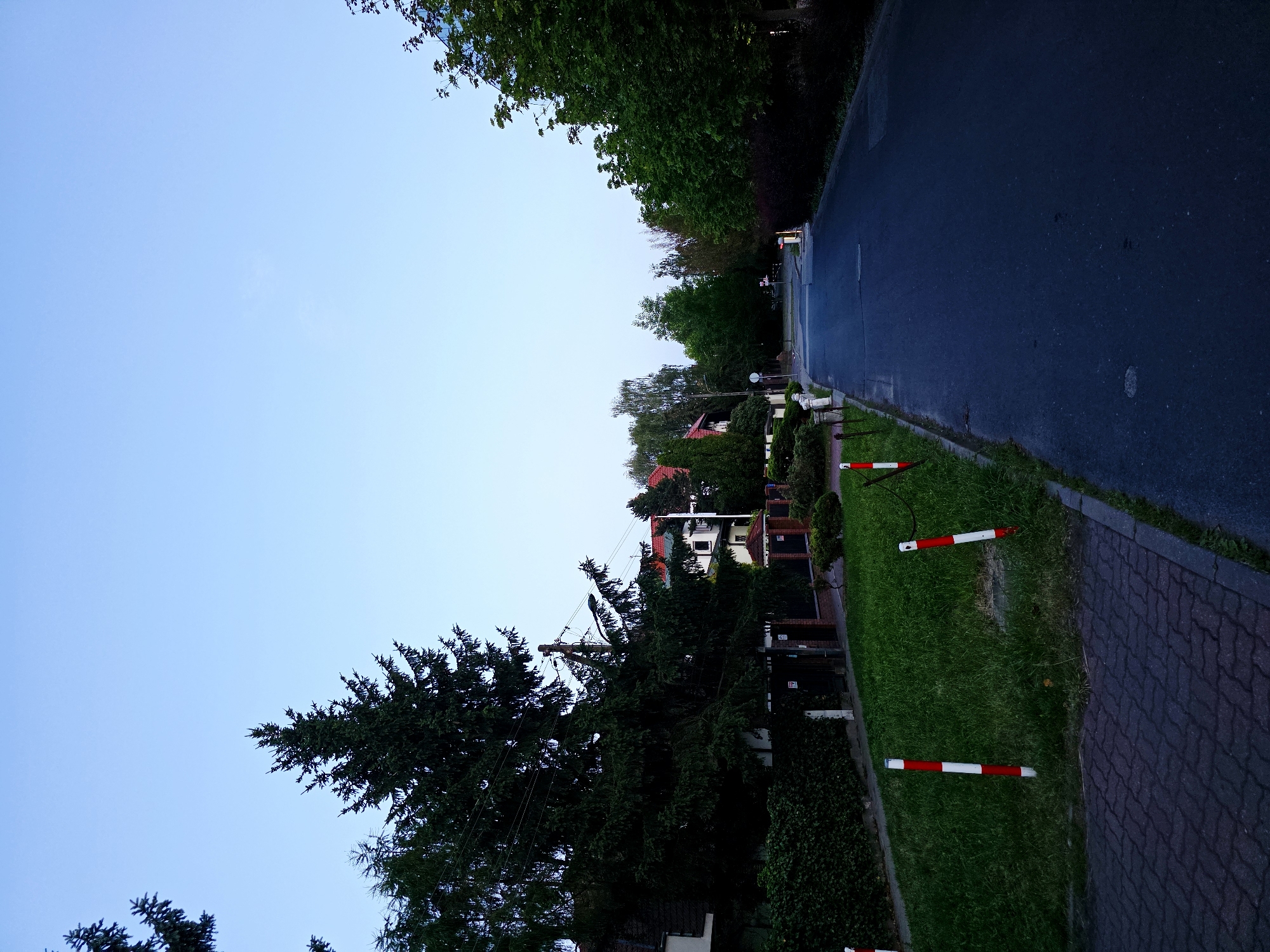 The image depicts a quiet, tree-lined street in the Białołęka district of Warsaw, Poland, during twilight. The perspective is from the sidewalk looking down the asphalt road. On the left side of the road, there is a paved sidewalk, a strip of green grass, and several red and white striped bollards. Behind the bollards, a thick evergreen tree dominates the left side of the frame, with a property wall and fencing visible beneath it. Further back, houses with red tiled roofs and various trees are nestled behind the dense foliage. On the right side of the road, a dark, leafy hedge runs along the edge, with taller trees and more dense foliage extending further into the distance. The sky is a pale blue, indicating the transition from day to night. No people or vehicles are present in the scene.