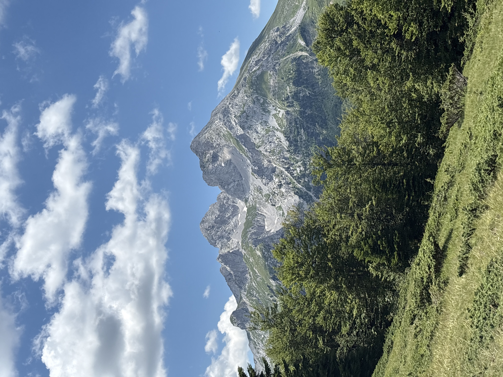 The image captures a majestic mountain landscape under a bright blue sky dotted with fluffy white clouds. In the foreground, a dense forest of lush green trees creates a vibrant border, with a sloping, grassy meadow interspersed with low-lying green shrubs in the lower left portion of the frame. Behind the trees, the imposing, rugged peaks of mountains rise sharply, their rocky surfaces streaked with patches of snow and lighter-colored rock. The mountain slopes are partially covered in green vegetation, suggesting a moderate elevation. The scene conveys a sense of natural beauty and serenity.