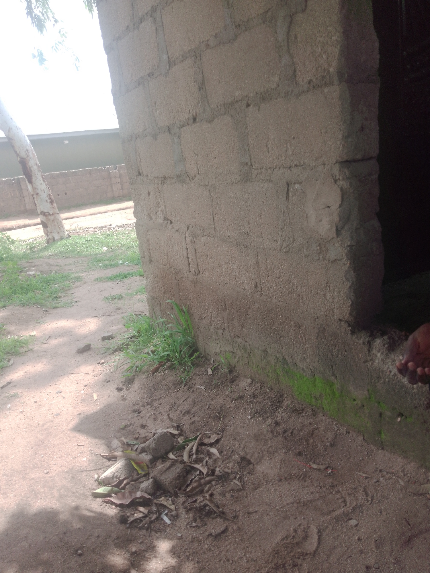 The image shows a close-up view of a rough, concrete block wall. To the left of the wall, a dirt path is visible, with some sparse green grass growing along the edge of the path and against the base of the wall. In the background, a white, tree-like structure is partially visible, along with a low wall constructed of similar concrete blocks. A dark, recessed area is visible to the right of the wall, suggesting an entrance or opening. A hand with visible fingers is present in the bottom right corner of the image, appearing to rest on the ground near the wall. The overall scene is outdoors, with natural lighting suggesting daytime.
