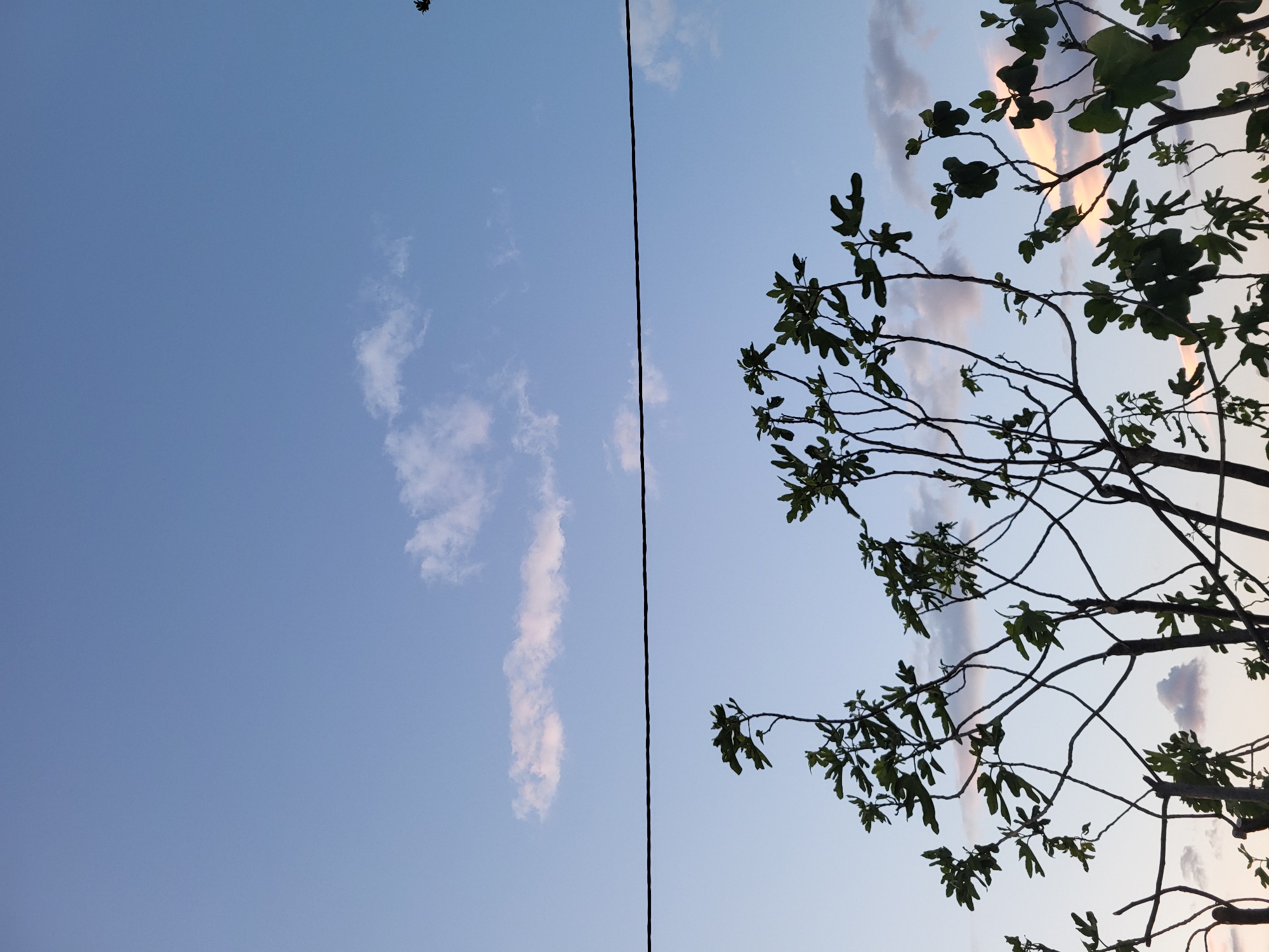 The image, originally rotated 90 degrees clockwise, presents an upward view of a clear blue sky partially obscured by tree branches and a utility wire.

The sky occupies the majority of the frame, displaying a gradient from a lighter blue towards what would be the horizon to a deeper blue overhead. Scattered, wispy clouds are visible, with some patches exhibiting subtle orange and pink tints, indicative of either early morning or late afternoon light, suggesting twilight hours. A small, dark, indistinct object, possibly a bird or insect, is silhouetted against the bright sky in the top-left corner.

A distinct black utility wire stretches diagonally across the image, bisecting the sky. To the right and bottom, silhouetted branches of a tree with prominent green leaves frame the sky. The leaves are broad and lobed, characteristic of a fig tree. The low sun backlights the tree, casting its branches and foliage into shadow while illuminating the clouds.

The scene portrays a tranquil outdoor setting, likely in a rural or suburban environment such as Mahala, Montenegro. There are no people, explicit activities, or visible text in the image.