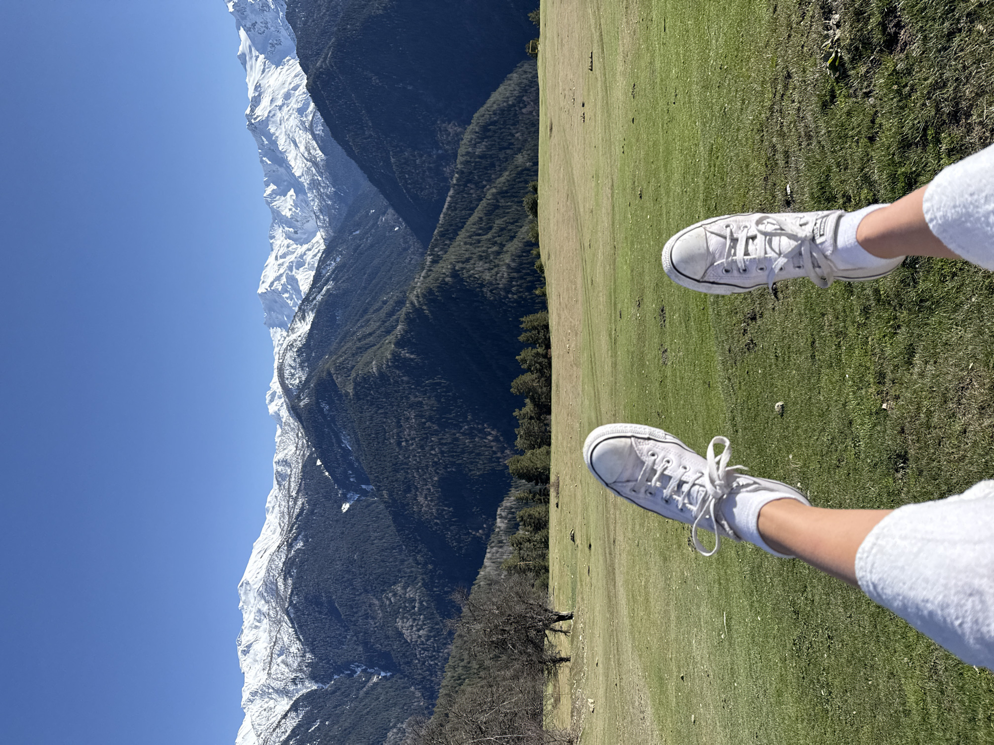 The original image, presented rotated 90 degrees counter-clockwise, captures a serene mountain landscape from a first-person perspective. In the immediate foreground, the lower legs and feet of a person are visible, extended forward. The person is wearing white socks and white canvas sneakers, clearly identifiable as Converse from the brand logo on the tongue of one shoe.
Beyond the foreground, the scene opens up to a vast, natural environment. A vibrant green, grassy meadow stretches across the midground, suggesting clear weather and lush growth. This meadow gently slopes upwards towards a majestic mountain range that dominates the background. The lower and middle sections of these mountains are covered in dense, dark green coniferous forests, indicating a rich arboreal landscape. Above the tree line, the mountain peaks are rugged and stark white, covered in extensive snow.
The sky above is a brilliant, clear blue, devoid of clouds, signifying a sunny day. The strong natural light illuminates the snow-capped peaks and the lush green meadow, creating a striking contrast between the bright whites and greens and the deep blue sky. The composition, with the feet in the foreground, suggests a moment of relaxation and appreciation of the expansive view, possibly during an outdoor activity in the mountainous region of Lenjeri, Georgia. The image evokes a sense of peace and the beauty of nature.