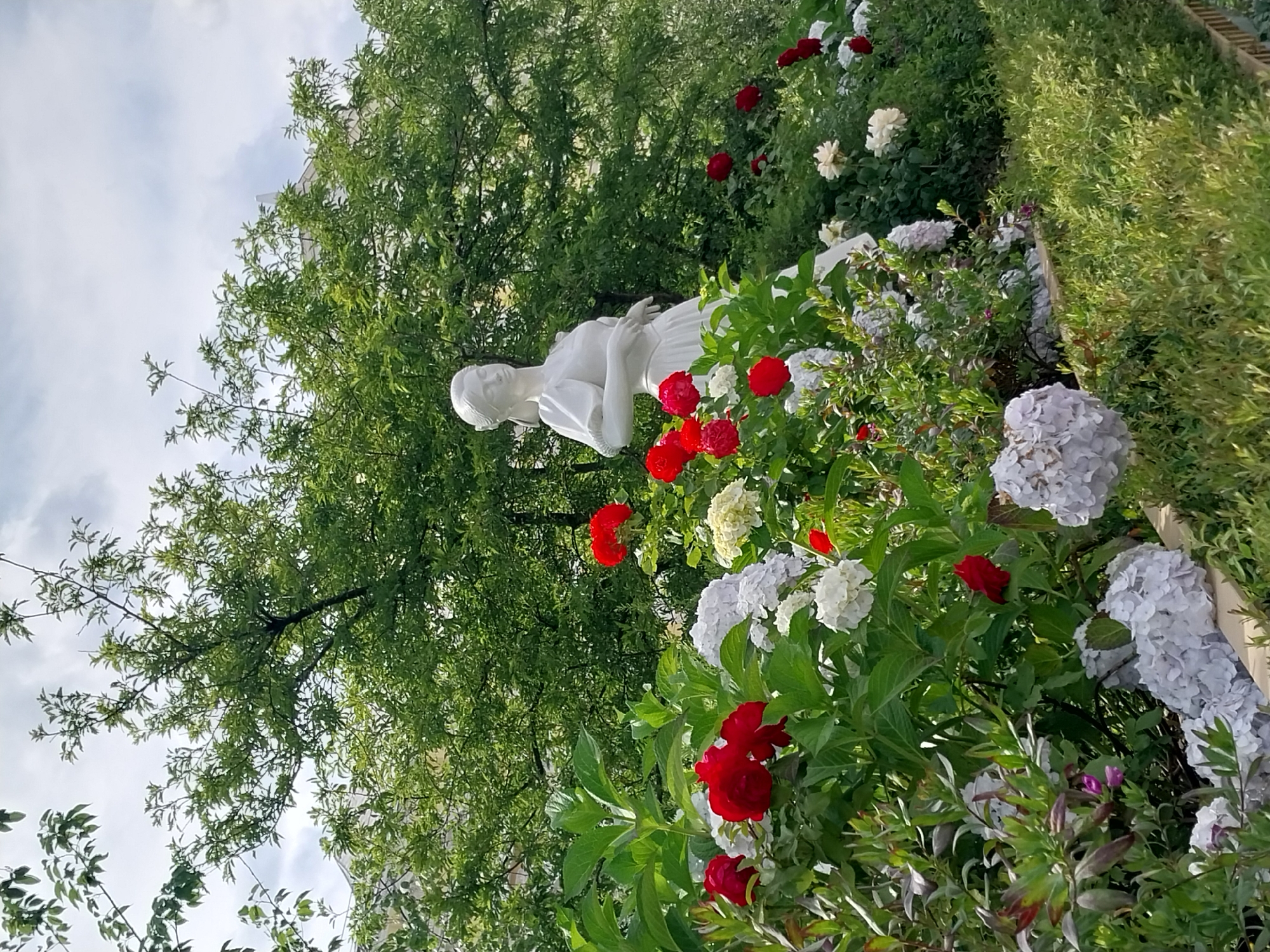 The image features a white marble statue of a woman in a garden setting. The statue is positioned amidst lush greenery and a variety of flowers, including red roses, white roses, and light blue hydrangeas. The statue depicts the woman with her head tilted slightly and her arms crossed over her chest, giving her a serene and contemplative expression.
The garden appears to be well-maintained, with vibrant flowers and dense foliage. The background is filled with the rich green of trees, suggesting a natural or park-like environment. The sky is visible at the top of the image, with some clouds, indicating it might be daytime. The overall mood of the image is peaceful and tranquil, evoking a sense of beauty and serenity. There is no visible text in the image.