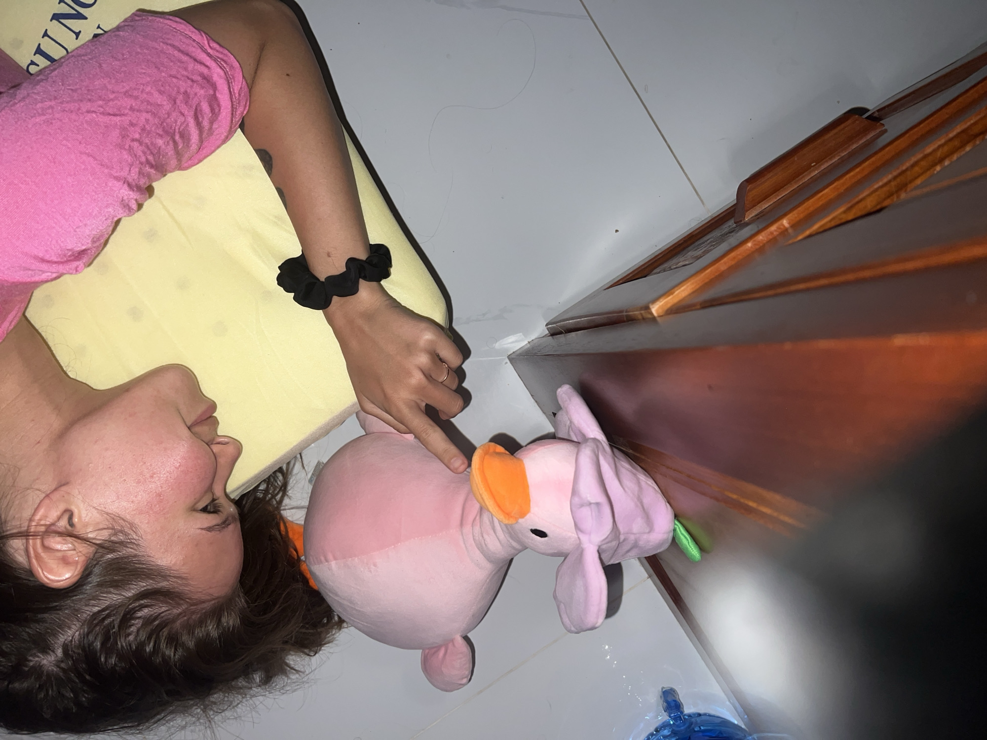 A woman lies on a yellow pillow next to a wooden dresser, pointing at a pink elephant stuffed animal. The scene is set on a tile floor, possibly in a room near the Nam Natural Heritage Area Trang, Vietnam. A blue plastic bottle is visible in the lower right corner. The woman wears a pink shirt and has a black scrunchie on her wrist.