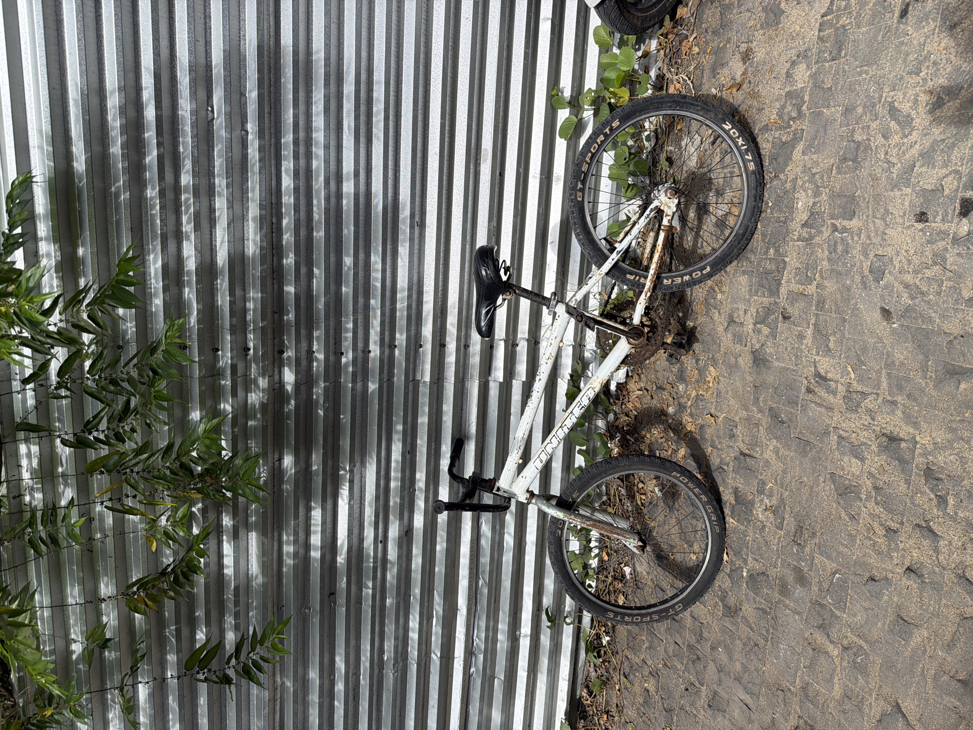 An old, white BMX bicycle with visible rust and wear rests against a corrugated metal fence. Green foliage hangs from the top of the fence and grows around the base of the bicycle. The ground is paved with cobblestones, and some dried leaves are scattered on the ground. The scene appears to be outdoors in an urban environment, possibly a less-maintained area of Denpasar, Indonesia, suggested by the style of the fence and paving. There are no people or animals present in the image. The lighting suggests it is daytime with dappled sunlight creating shadows on the fence. The bicycle is upright, propped against the fence without a kickstand.