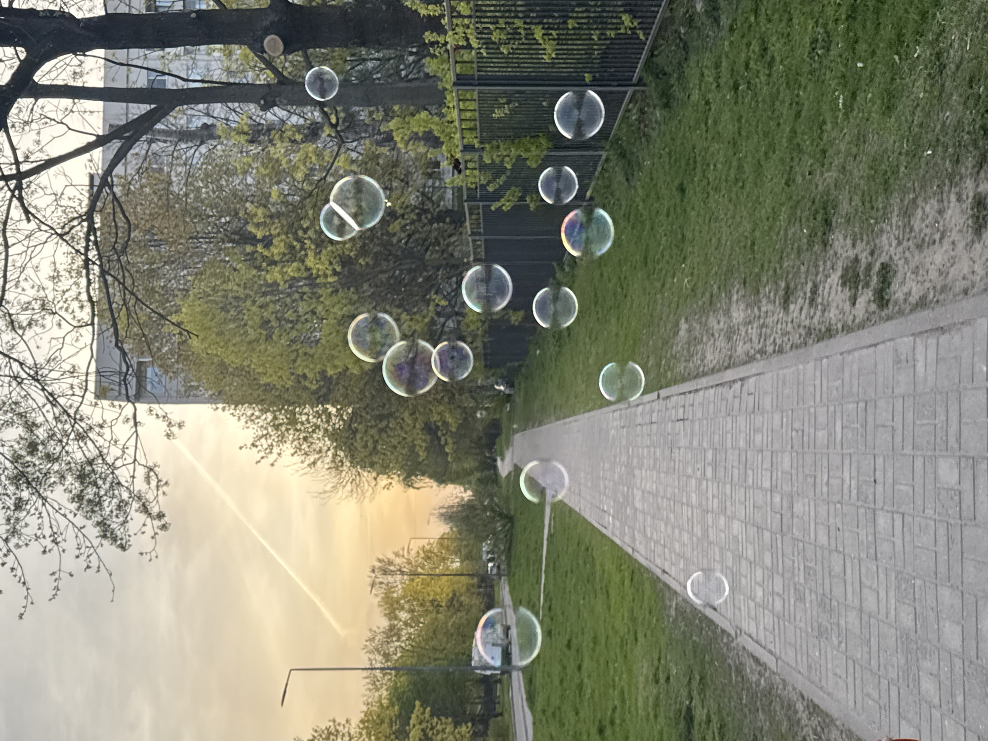 The image captures a park scene in Saint Petersburg, Russia. A paved pathway runs through the middle of the frame, bordered by green grass on either side. A metal fence and trees line the upper portion of the image, while additional trees and a street lamp are visible in the lower portion. Several soap bubbles of varying sizes float in the air throughout the scene. The sky is a pale yellow, suggesting either sunrise or sunset. A tall building is vaguely visible in the upper left corner. The photograph has been rotated approximately 90 degrees.